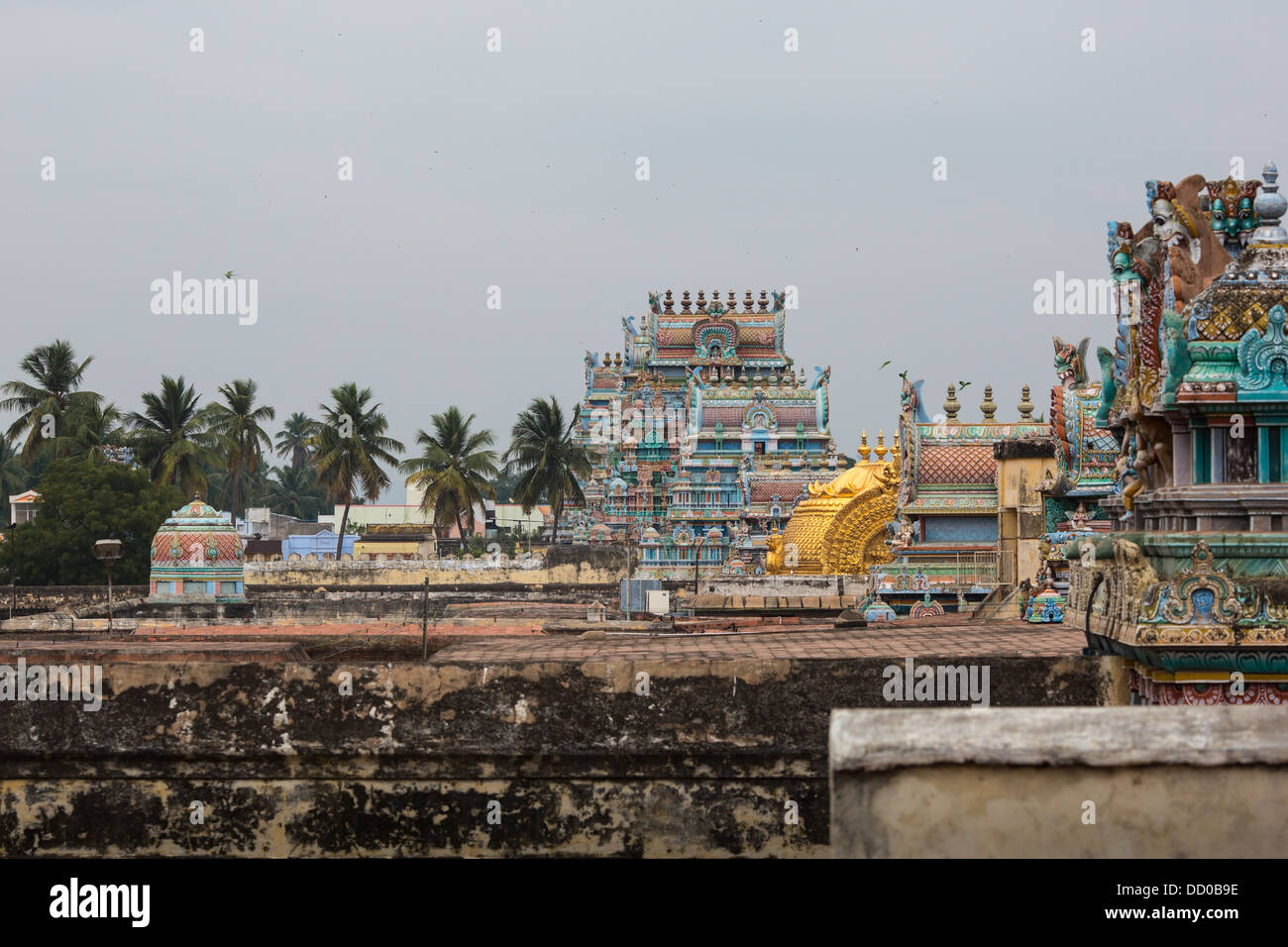 India del sud. Stato del Tamil Nadu Foto Stock