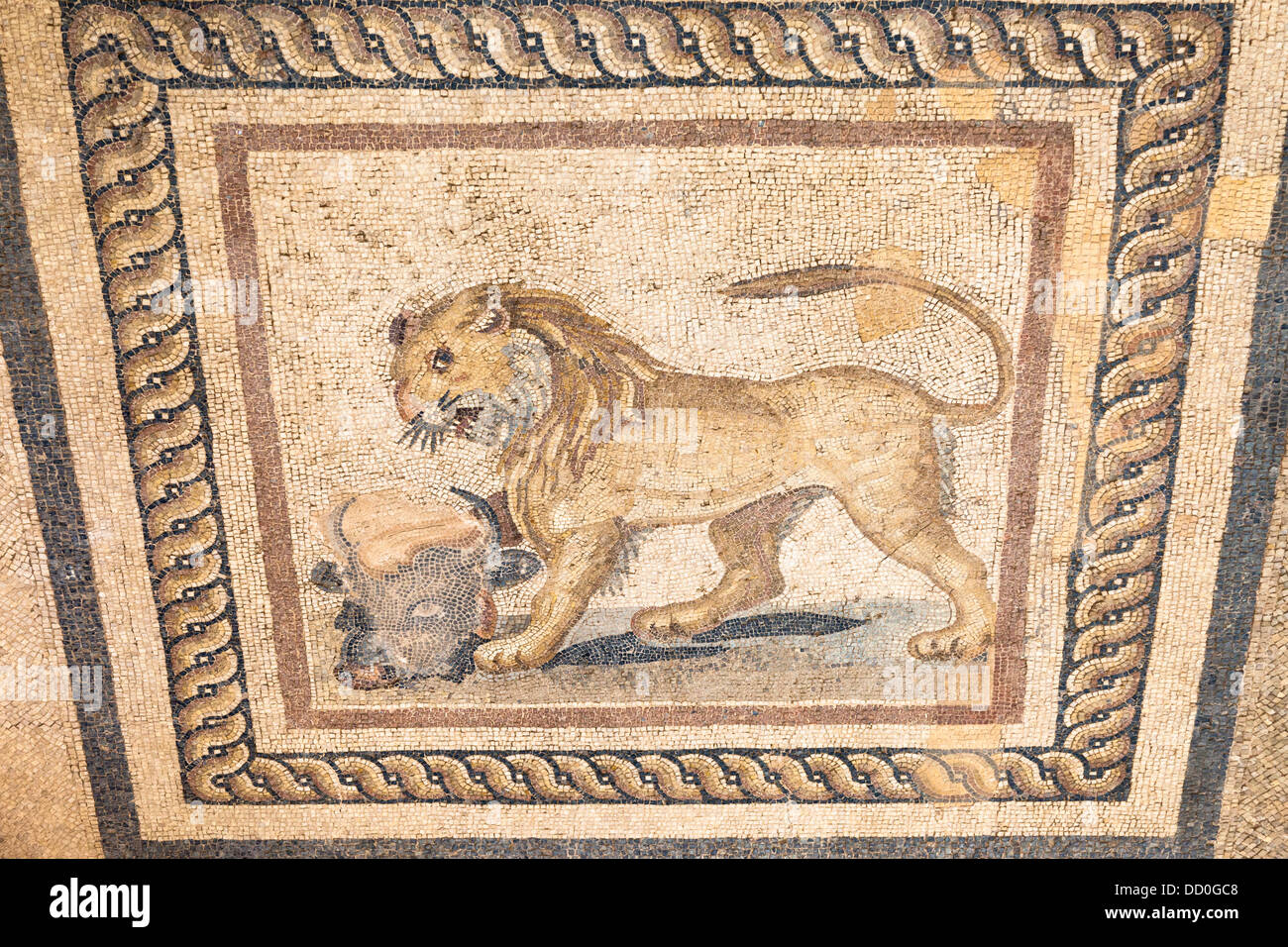 Mosaico di un leone e la testa di un toro sul pavimento di una delle case Terrazza, Efeso, Turchia Foto Stock