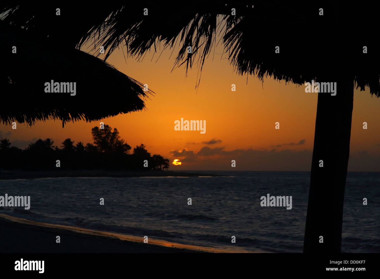 Tramonto, spiaggia caraibica scena con ombrelloni in sillohette. Foto Stock