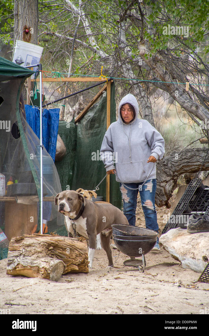 Una donna senzatetto e i suoi cani vivere in una baracca di tela in un accampamento all'aperto nel deserto città di Victorville CA. Foto Stock