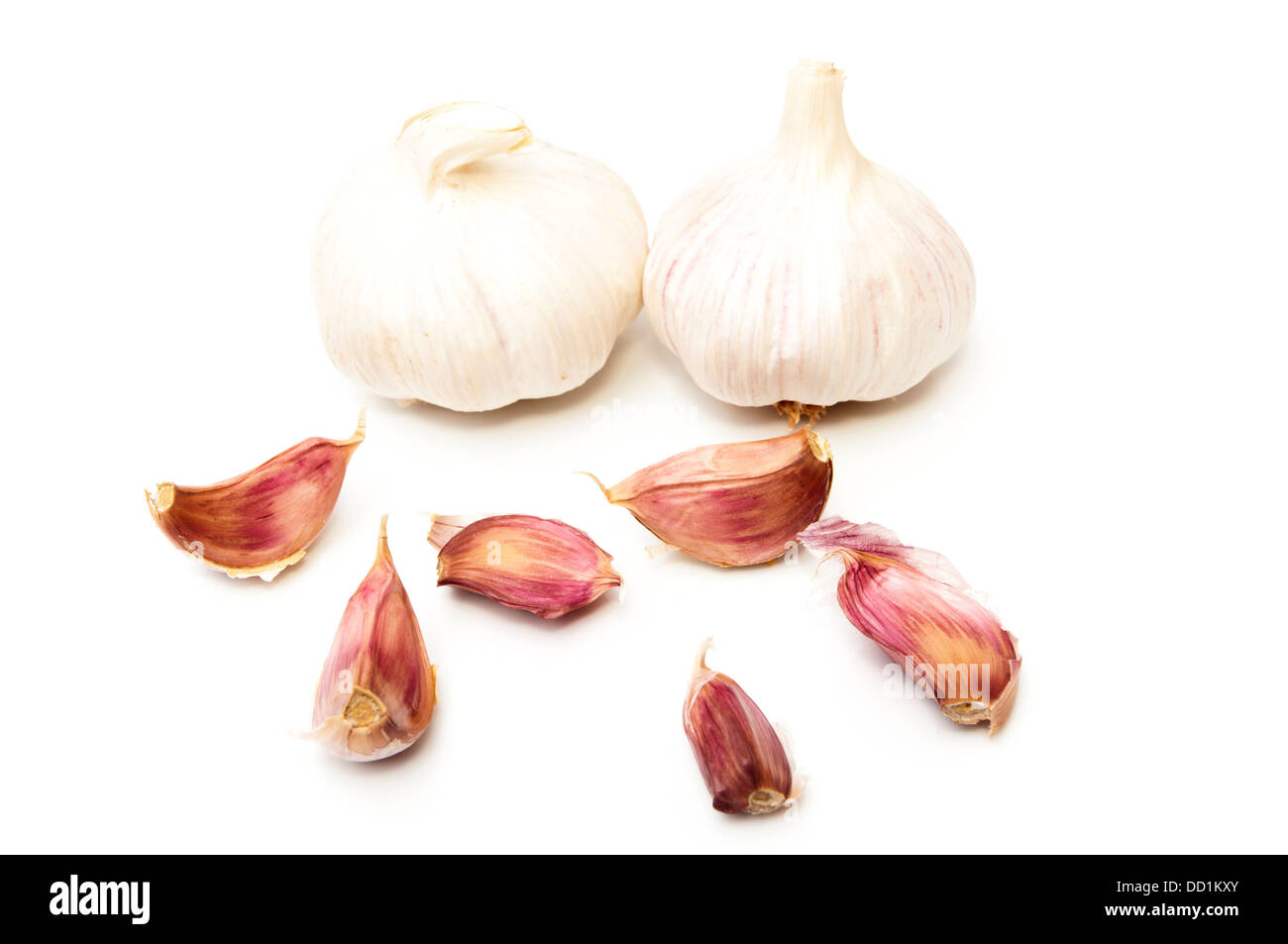 Aglio e chiodi di garofano di aglio su sfondo bianco Foto Stock