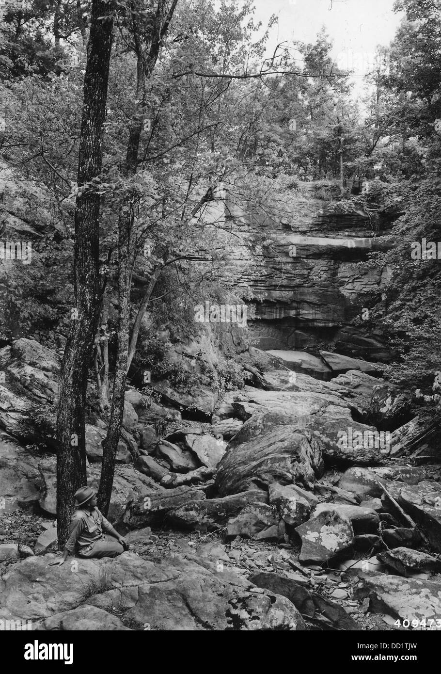 Questa immagine mostra le scogliere e le rocce di Burden Falls, situate nell'Illinois meridionale. L'area fa parte della Shawnee National Forest, conosciuta per il suo terreno accidentato e la sua bellezza naturale. Le cascate e le scogliere circostanti attirano appassionati di attività all'aperto e amanti della natura che visitano la regione per escursioni, fotografie ed esplorazioni. Foto Stock