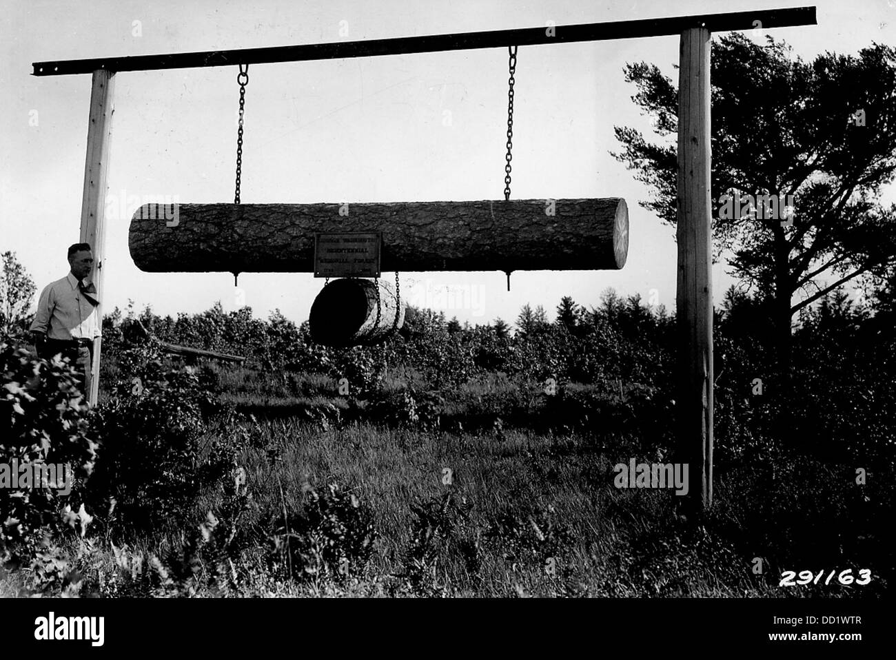 Il diario di dedica per la George Washington Bicentennial Memorial Forest commemora l'istituzione della foresta in onore del 200° compleanno di George Washington, preservando il patrimonio naturale. Foto Stock