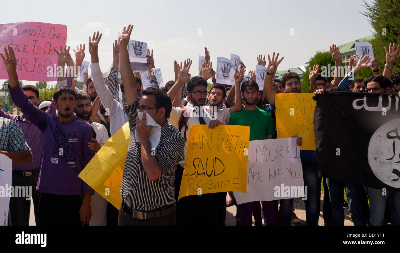 Srinagar, Indiano Kashmir amministrato del 23 agosto 2013. Gli studenti lo stadio a protestare per il Kashmir University a Srinagar, la capitale estiva di Indiano-Kashmir amministrato, contro il "militare repressione" in Egitto la Fratellanza musulmana . La chiamata per la protesta era stato dato dal Kashmir Studenti Universitari europea mentre il pro-indipendenza leader Syed Ali Geelani aveva chiamato per contumacia funerale preghiere per gli Egiziani uccisi in "militare repressione' . (Sofi Suhail/ Alamy Live News) Foto Stock