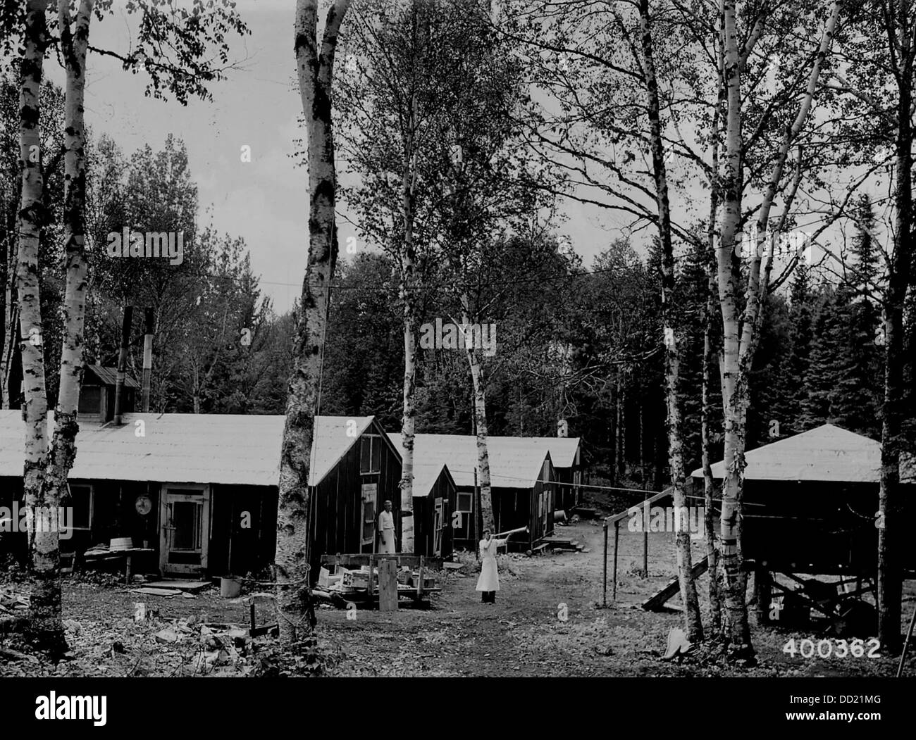 Questa fotografia mostra il H. A. Halmerson and Campbell Logging Camp, che era noto per le sue operazioni di abbattimento negli Stati Uniti all'inizio del XX secolo. Foto Stock