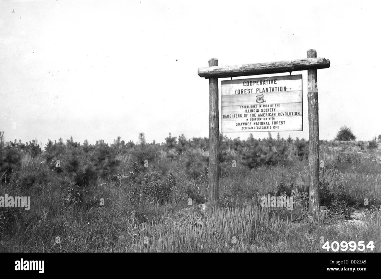 Le Illinois Daughters of the American Revolution (dar) hanno posto un cartello alla Cooperative Forest Plantation, sottolineando il loro coinvolgimento nella conservazione delle aree boschive e nel sostegno alla conservazione ambientale. Foto Stock
