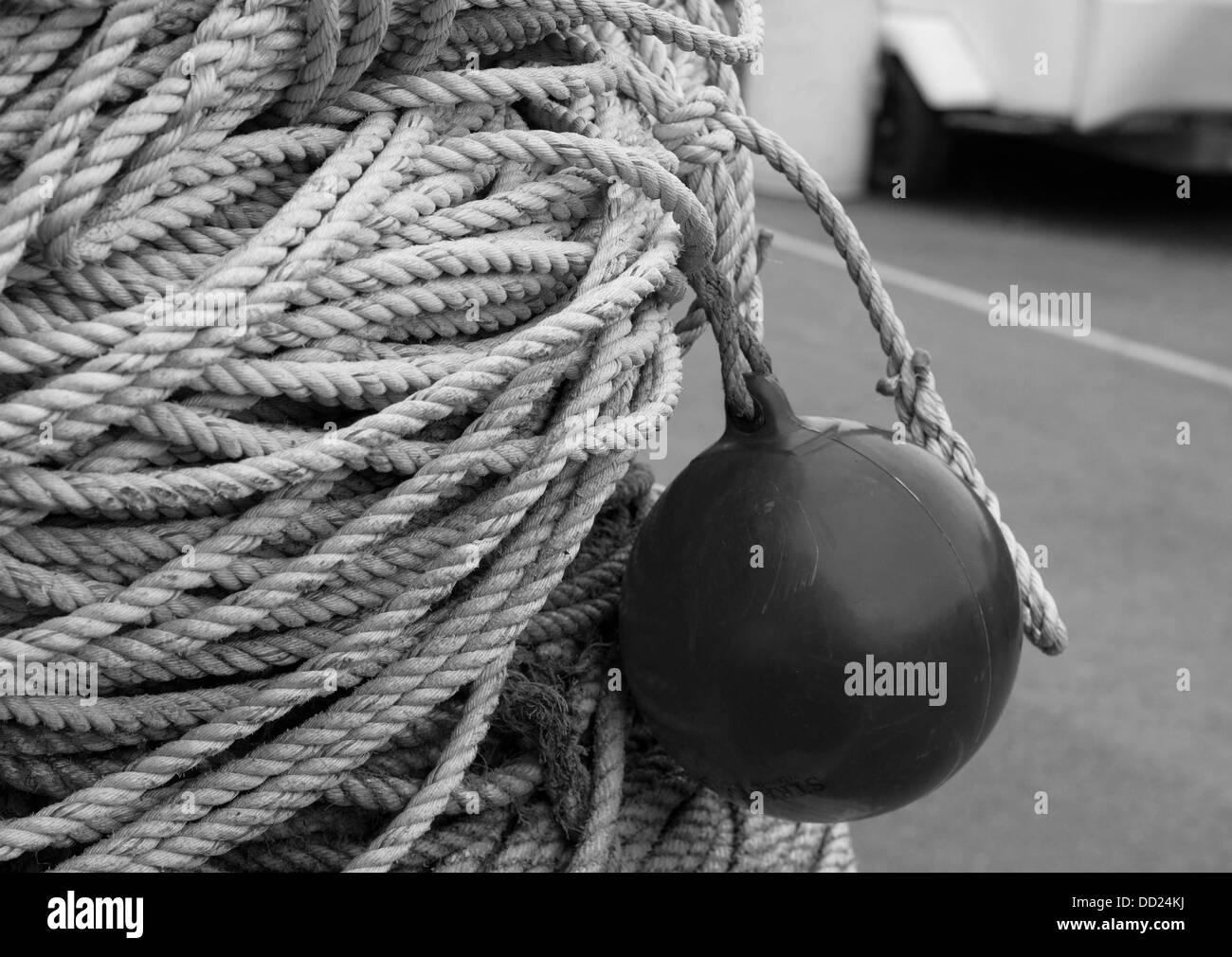 Una fotografia in bianco e nero di una fune e la linea galleggiante in un porto Foto Stock