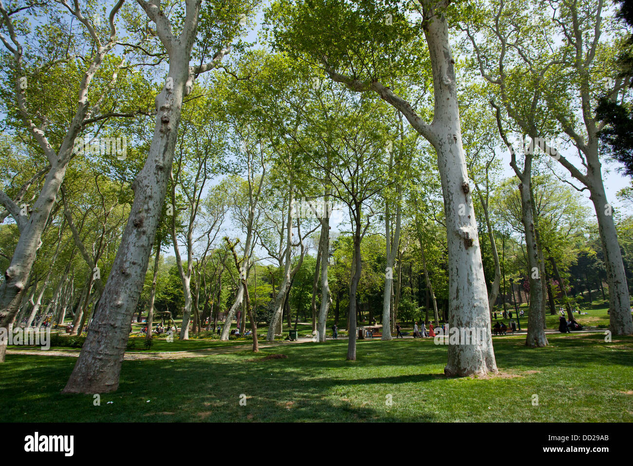 Il parco del Palazzo Topkapi a Istanbul, Turchia. Foto Stock