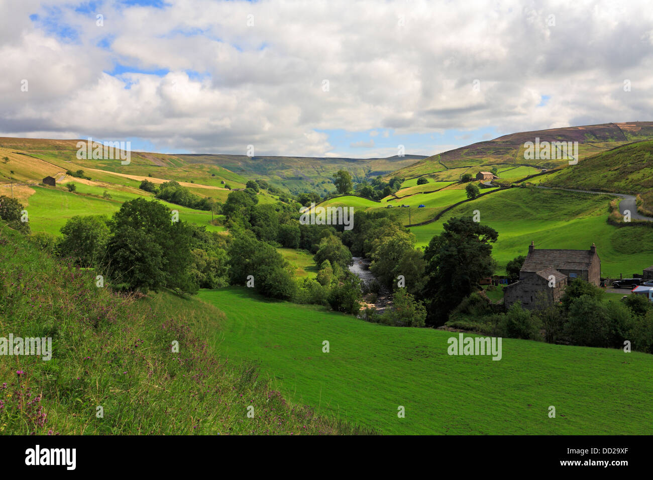 Il fiume Swale in Swaledale vicino Keld, North Yorkshire, Yorkshire Dales National Park, Inghilterra, Regno Unito. Foto Stock