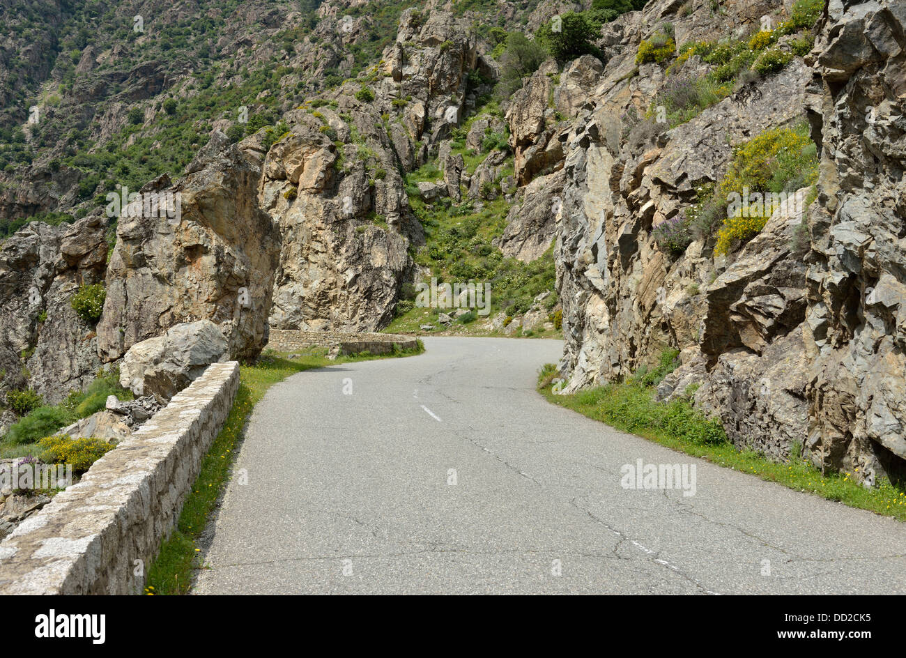 Paesaggio di montagna lungo la Scala di Santa Regina road, Niolo Valley, centrale Monti, Corsica, Francia Foto Stock