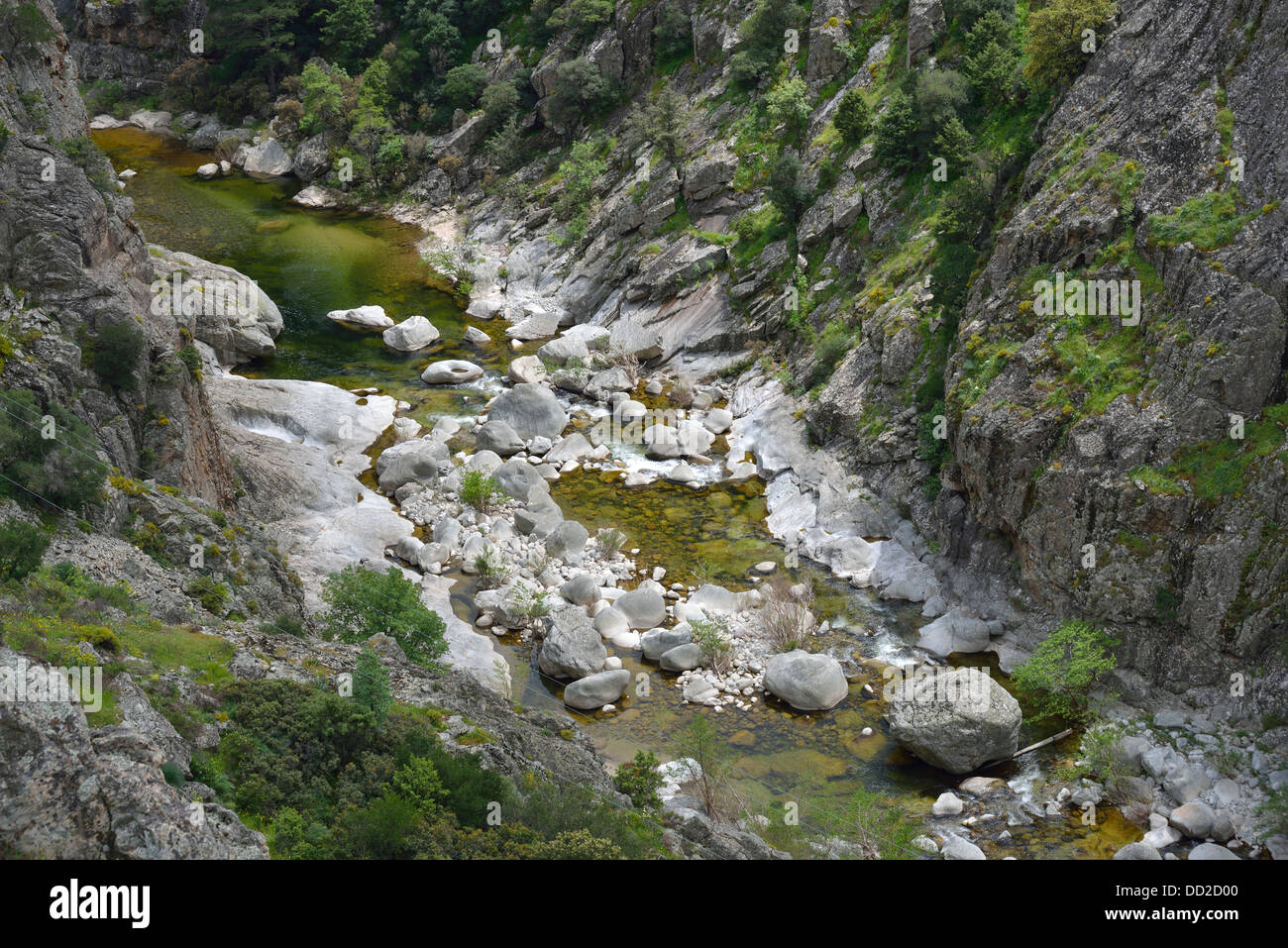 Paesaggio di montagna lungo la Scala di Santa Regina road, Niolo Valley, centrale Monti, Corsica, Francia Foto Stock