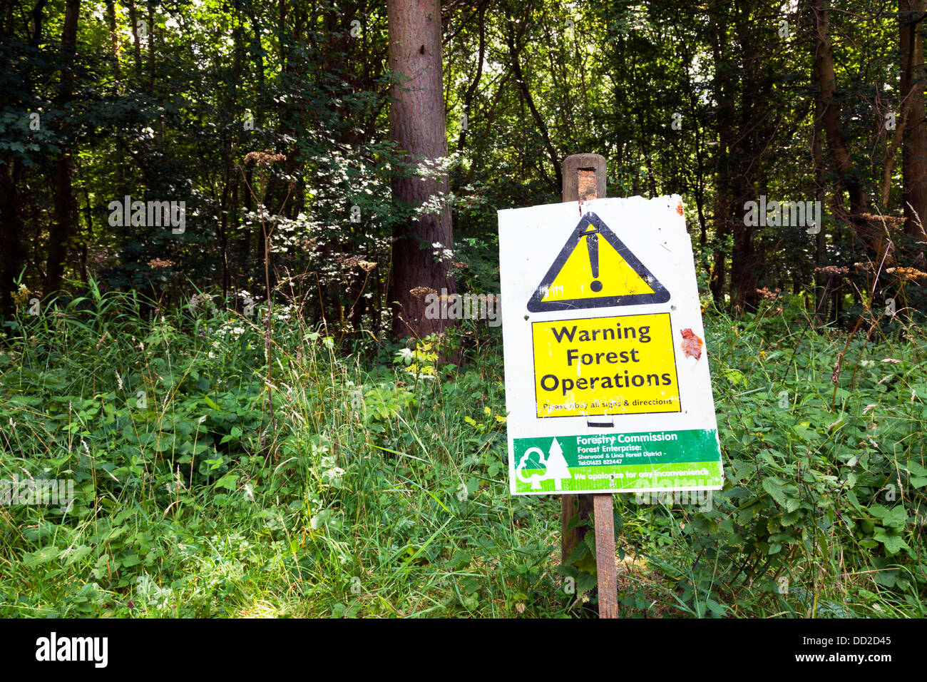 Forest commissione forestale segno di avvertimento nei boschi pericolo di operazioni in corso Foto Stock