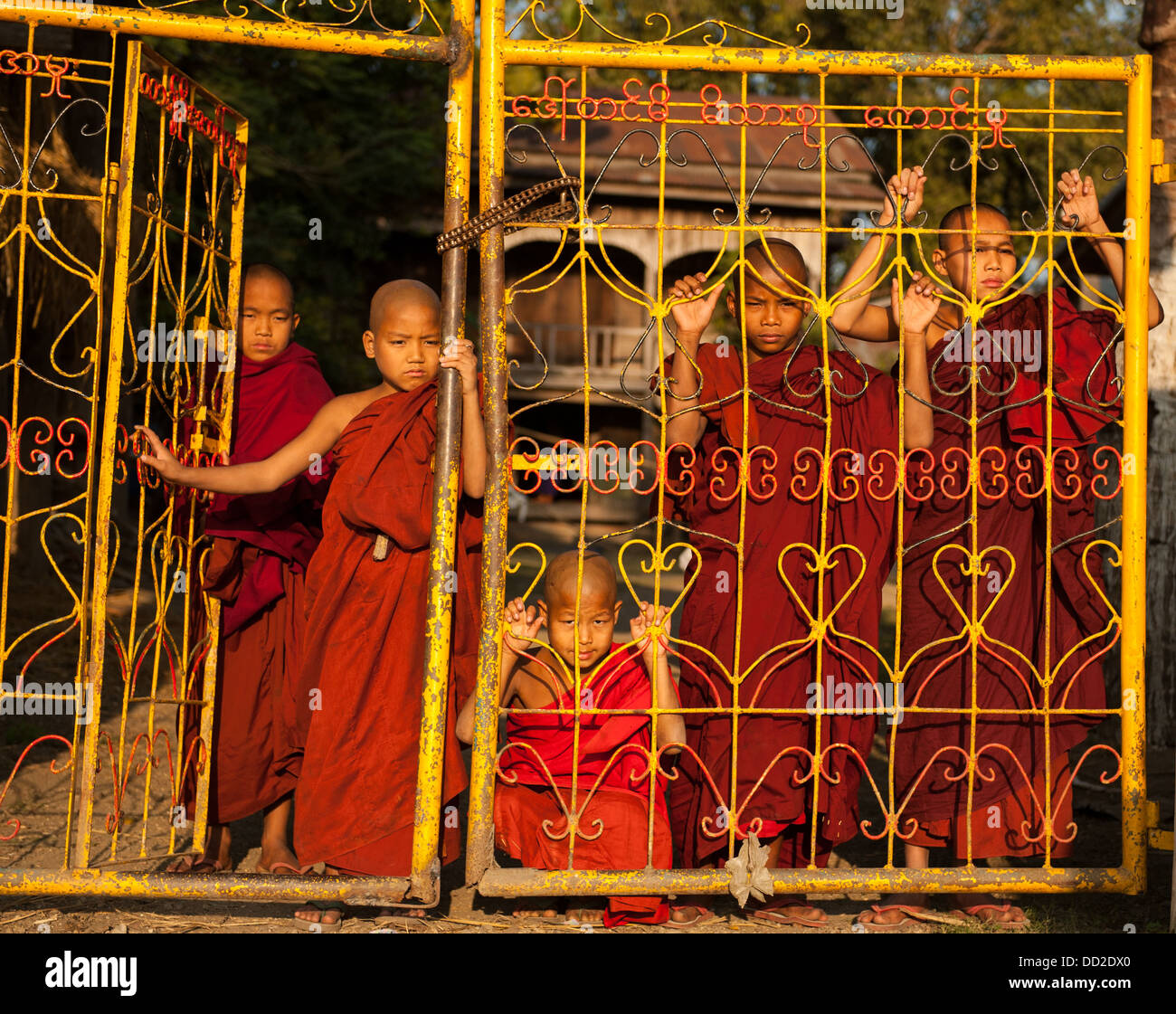 5 giovani monaci guardando attraverso temple gate in Birmania Myanmar Foto Stock