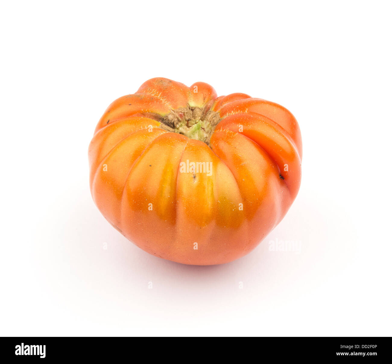 Cimelio di freschi pomodori isolati su sfondo bianco Foto Stock