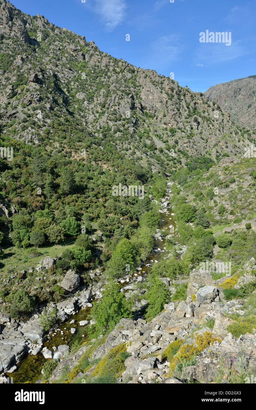 Paesaggio di montagna lungo la Scala di Santa Regina road, Niolo Valley, centrale Monti, Corsica, Francia Foto Stock