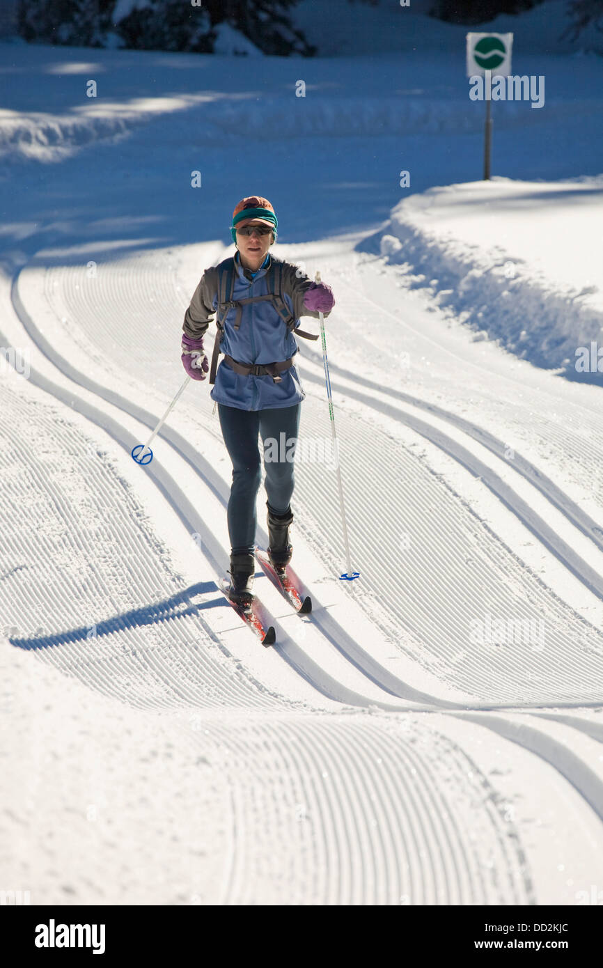 Femmina sciatore nordico su materiale rotabile appena le piste battute a Kananaskis Paese; Alberta, Canada Foto Stock