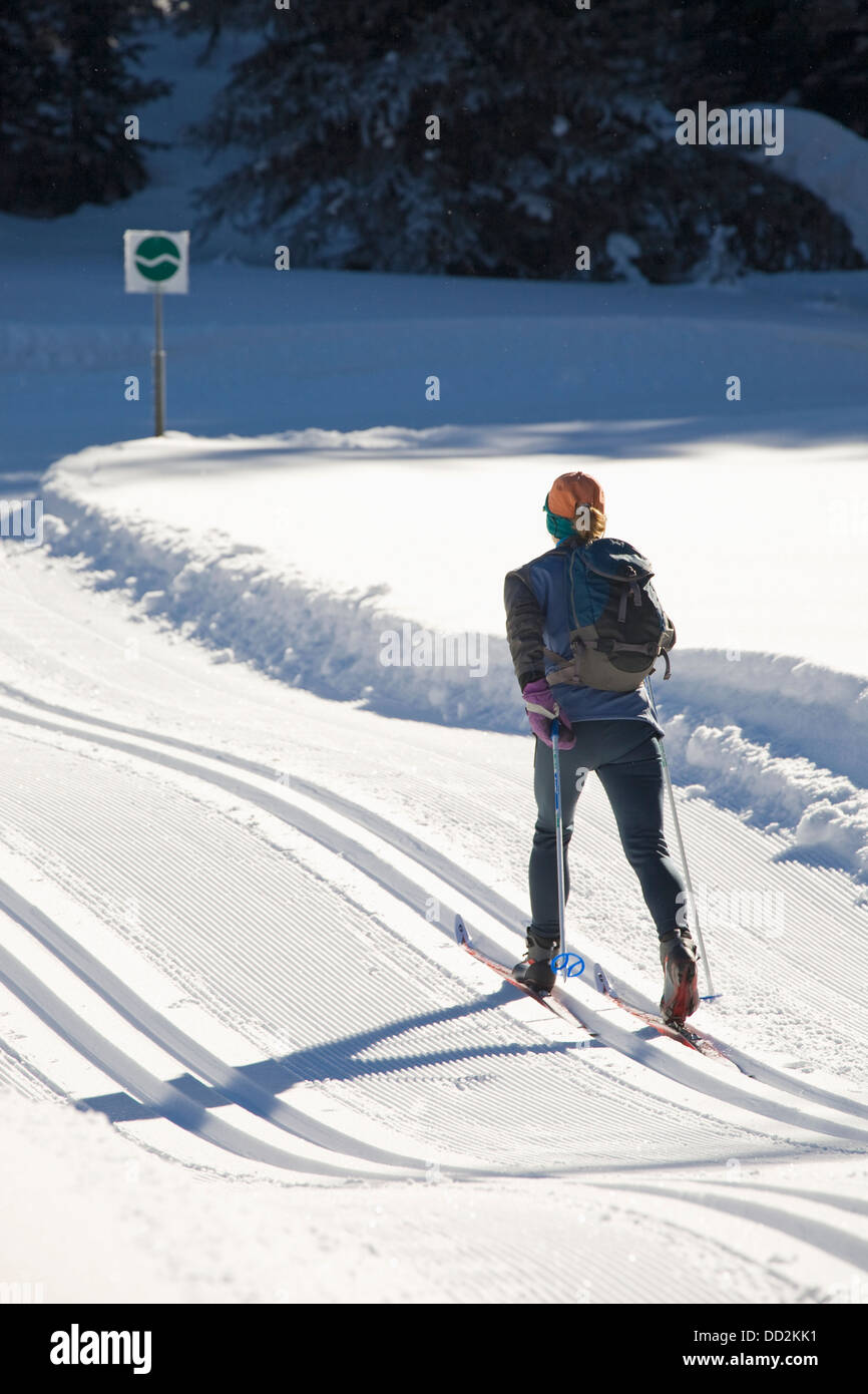 Femmina di Cross Country sciatore su materiale rotabile appena le piste battute; Alberta, Canada Foto Stock