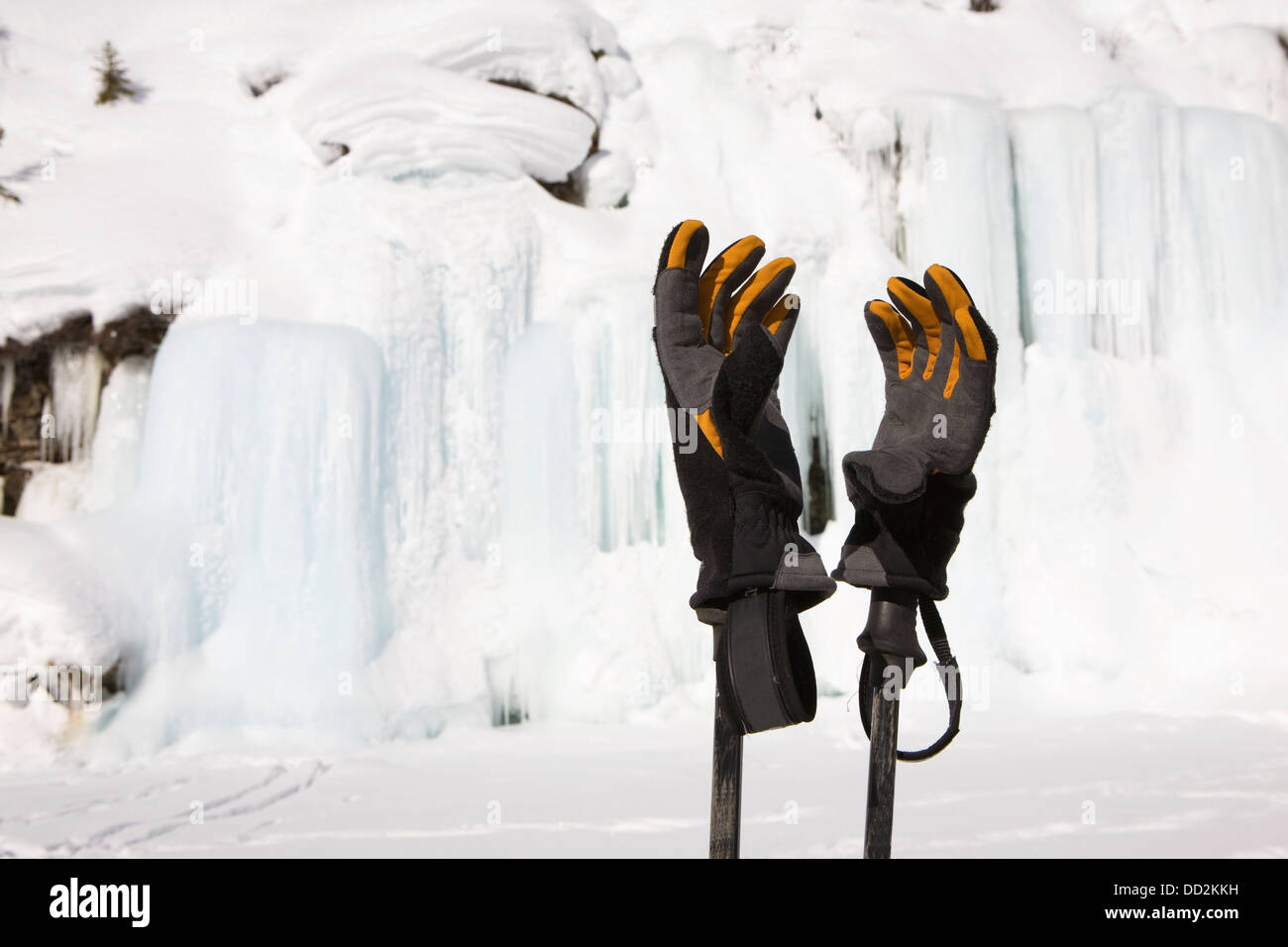 Sci nordico i guanti sulla parte superiore dei pali con un ghiaccio congelato parete e coperta di neve scogliere in background; Alberta, Canada Foto Stock