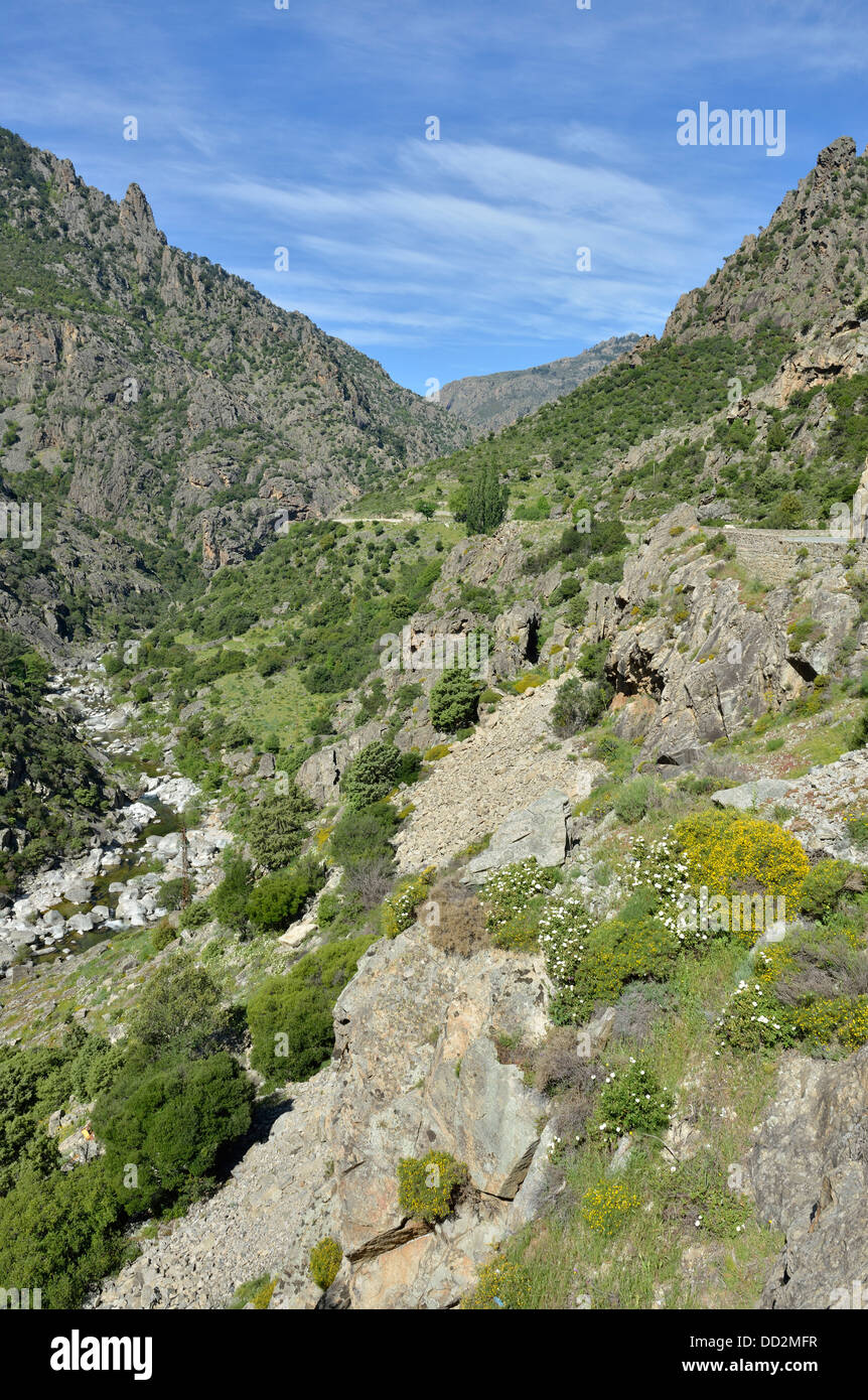 Paesaggio di montagna lungo la Scala di Santa Regina road, Niolo Valley, centrale Monti, Corsica, Francia Foto Stock