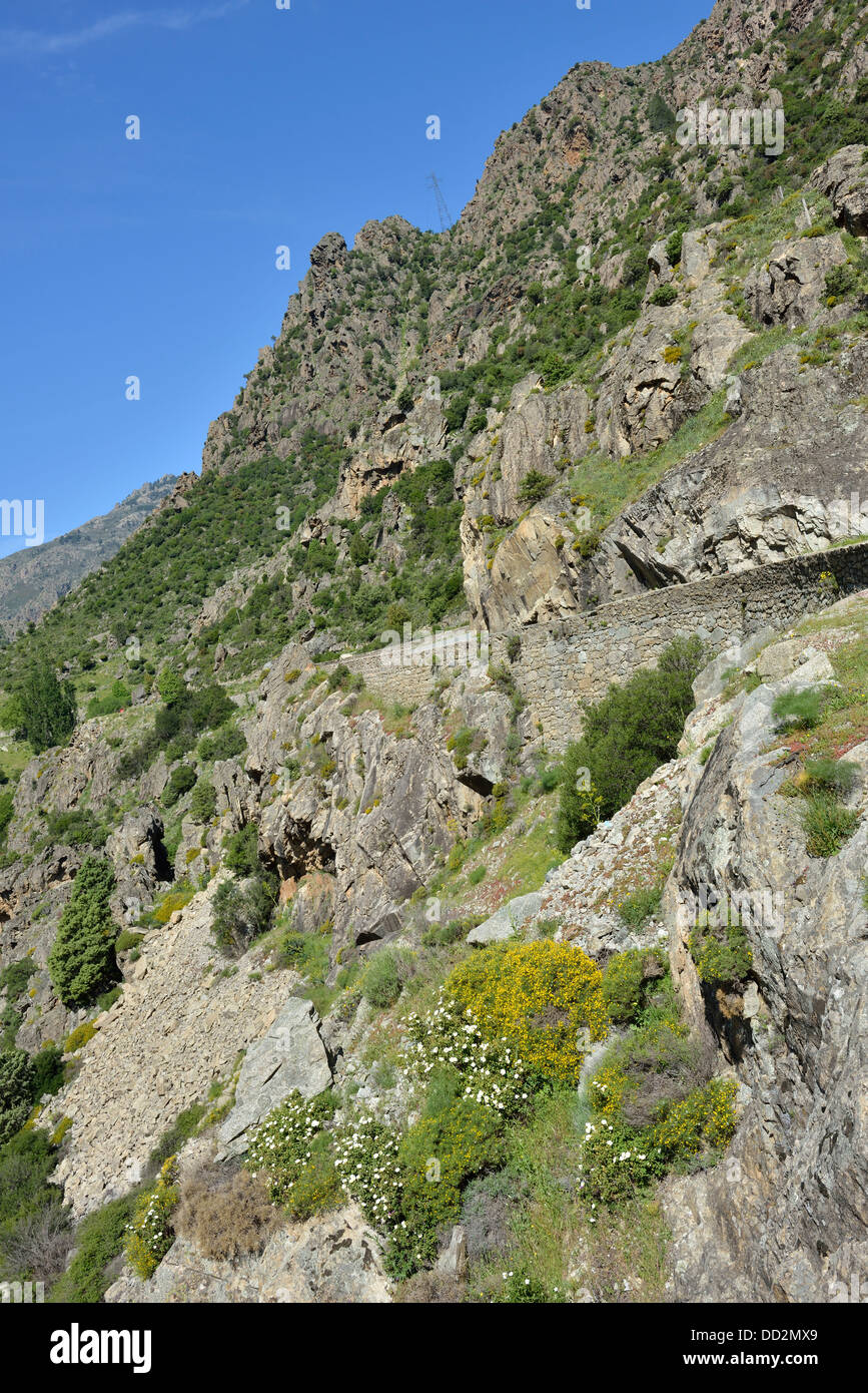 Paesaggio di montagna lungo la Scala di Santa Regina road, Niolo Valley, centrale Monti, Corsica, Francia Foto Stock
