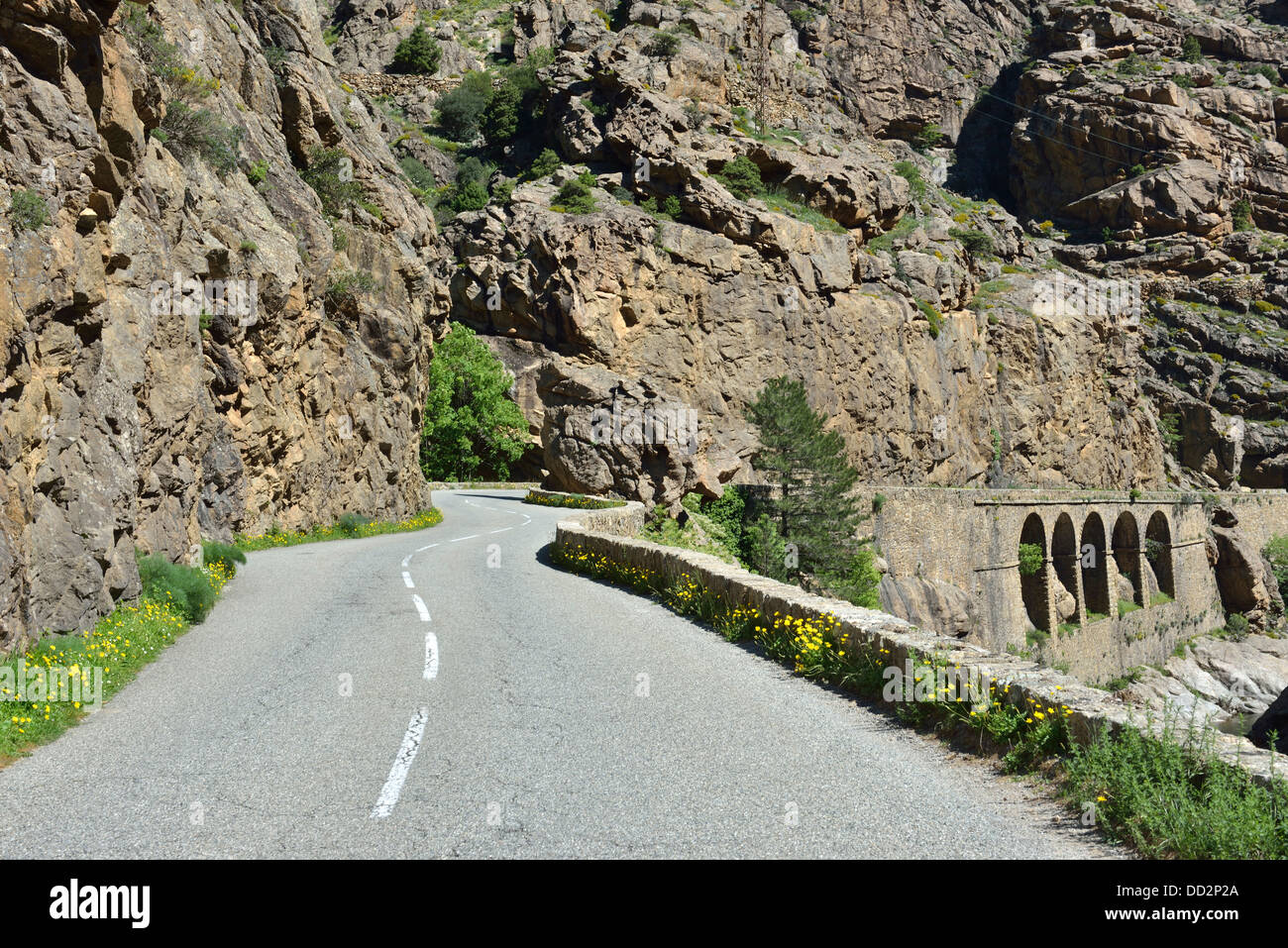 Paesaggio di montagna lungo la Scala di Santa Regina road, Niolo Valley, centrale Monti, Corsica, Francia Foto Stock