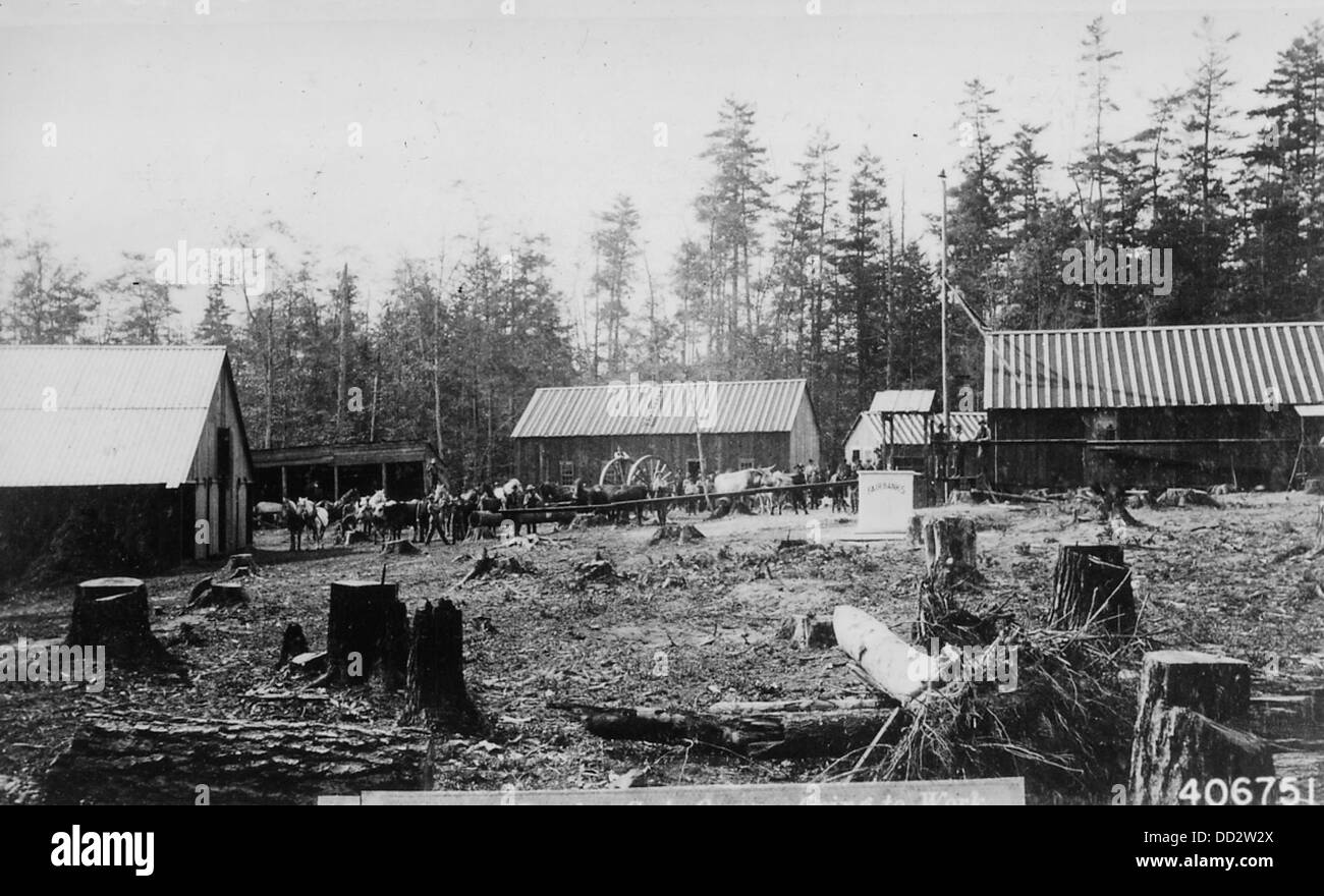 Questa immagine mostra un campo di troncatura al lavoro, che cattura la manodopera coinvolta nella raccolta del legname. I lavoratori sono visti tagliare e lavorare il legno, un'attività fondamentale nell'industria del legno. Foto Stock