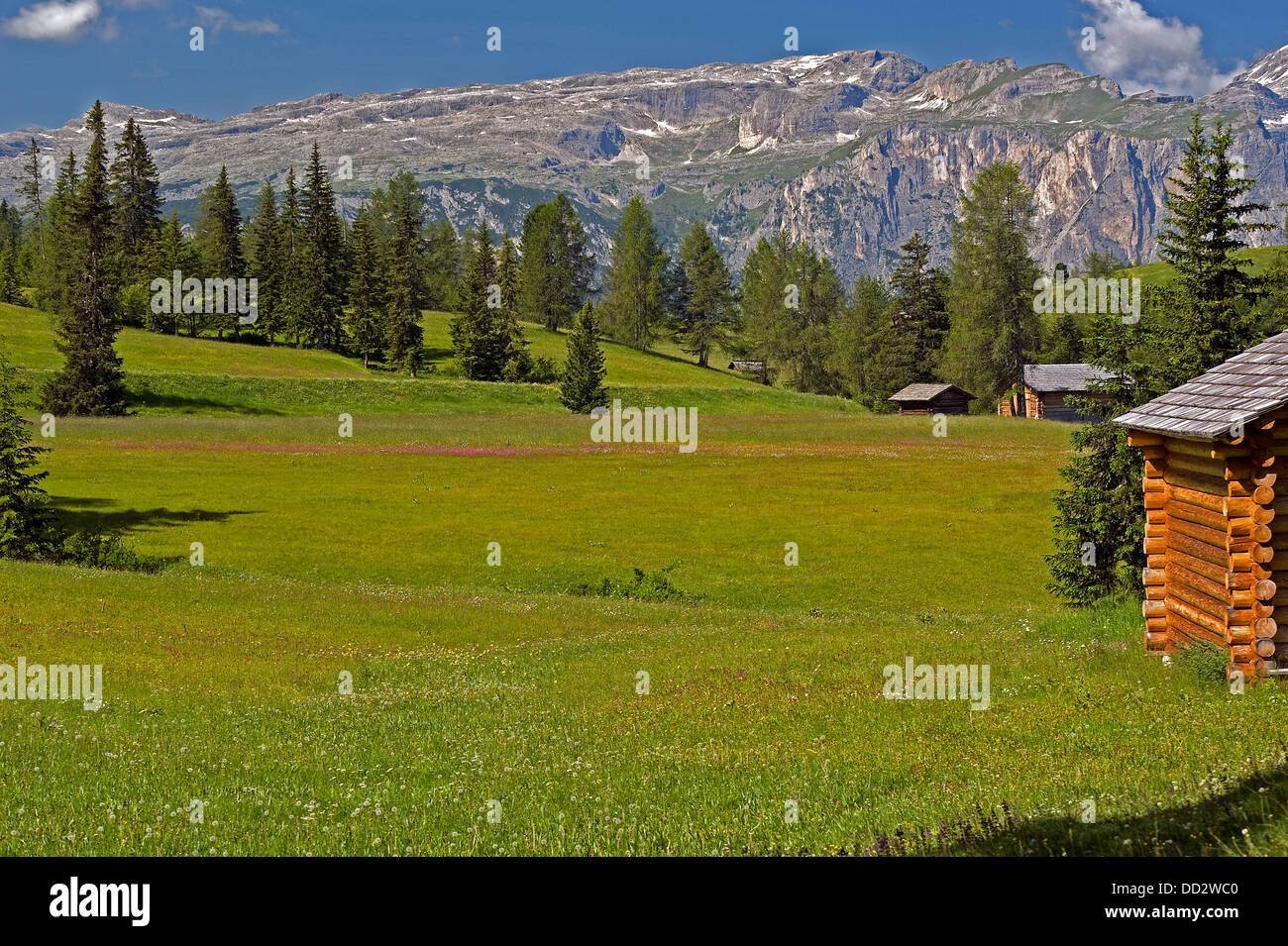 Gruppo Gardenaccia, Dolomiti bolzano, Italia Foto Stock