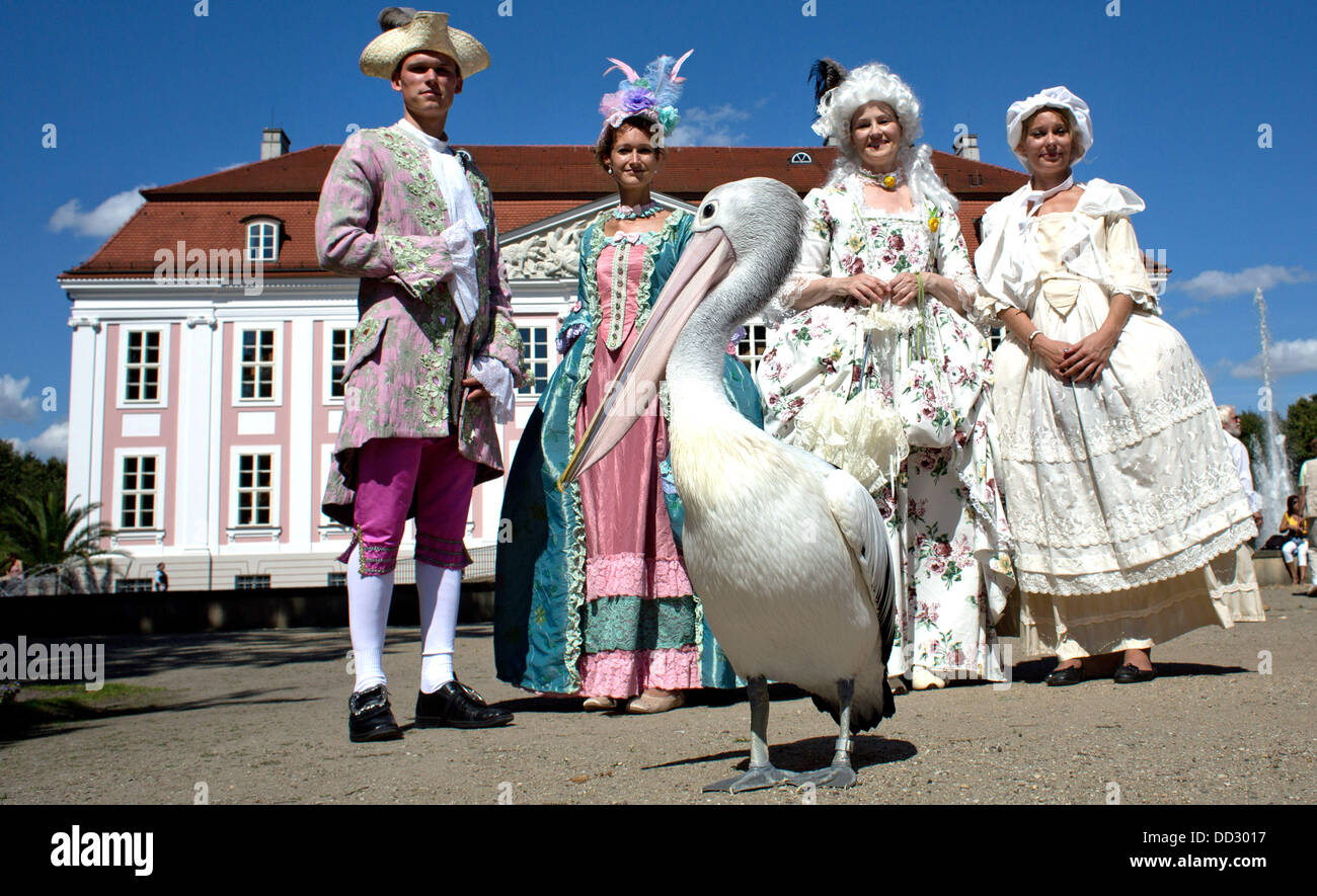 Berlino, Germania. 24 Ago, 2013. Gli attori indossano costumi storici prendere parte al Festival rococò e godetevi un pellicano davanti al Castello Friedrichsfelde a Berlino, Germania, 24 agosto 2013. Il festival presenterà danze storiche, un castello fair e concerti nel corso del fine settimana. Foto: JOERG CARSTENSEN/dpa/Alamy Live News Foto Stock