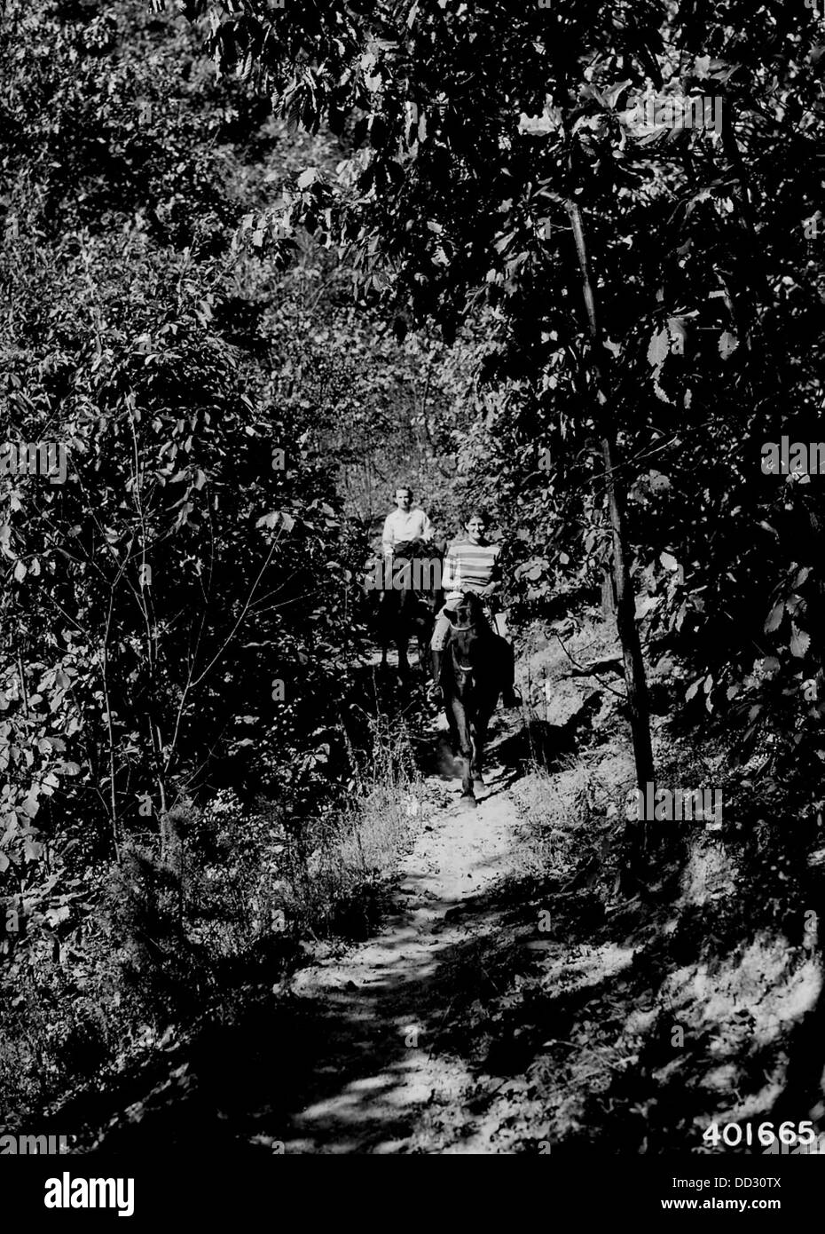 Due donne di Portsmouth sono raffigurate a cavallo, mostrando abilità equestri. L'immagine riflette una miscela di cultura locale e l'importanza dell'equitazione nella zona. Foto Stock