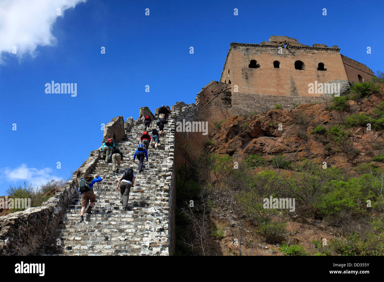 Le torri di guardia sulla Grande Muraglia Jinshanling vicino villaggio provenzale di Pechino, Cina, Asia. Foto Stock