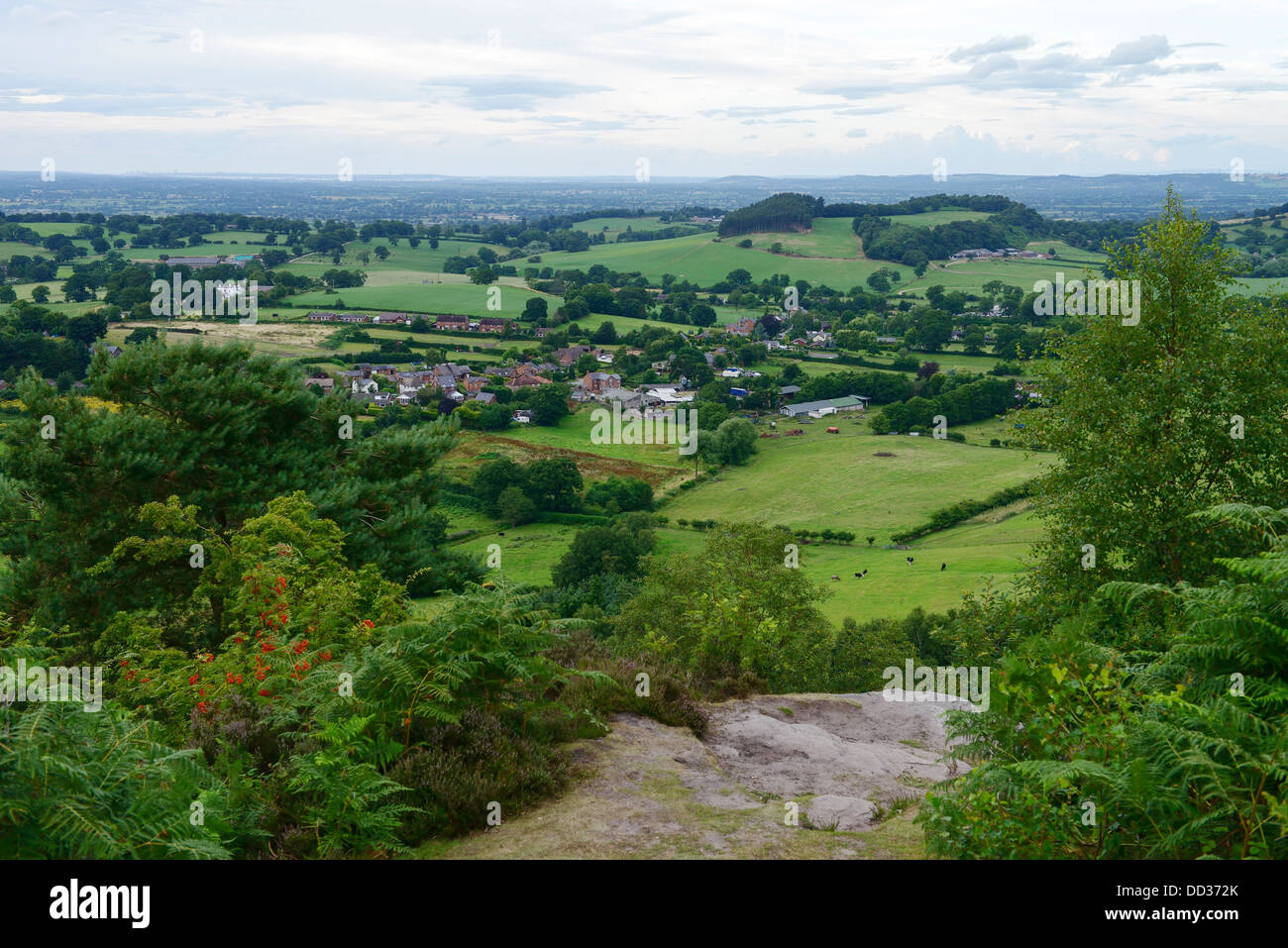 Campagna di Cheshire da Larkton Hill Foto Stock