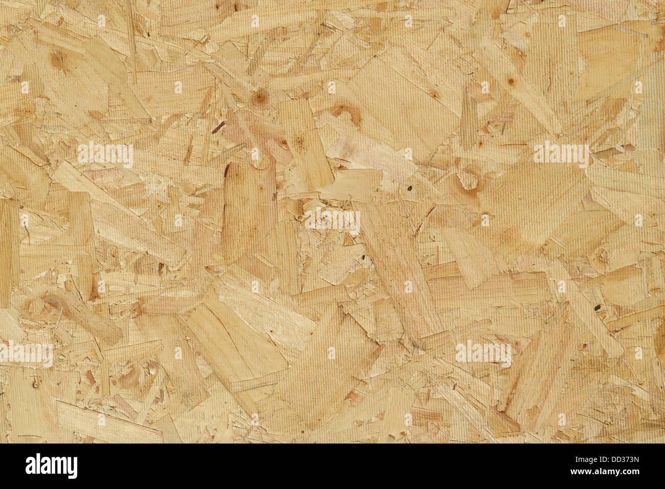 Close up dettaglio di un pezzo di legno OSB board Foto Stock