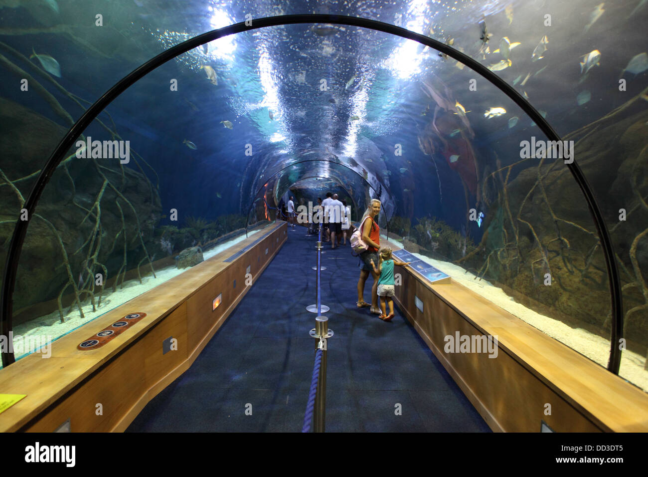 Un tunnel di vetro nell'oceanarium a Valencia, Spagna Foto Stock