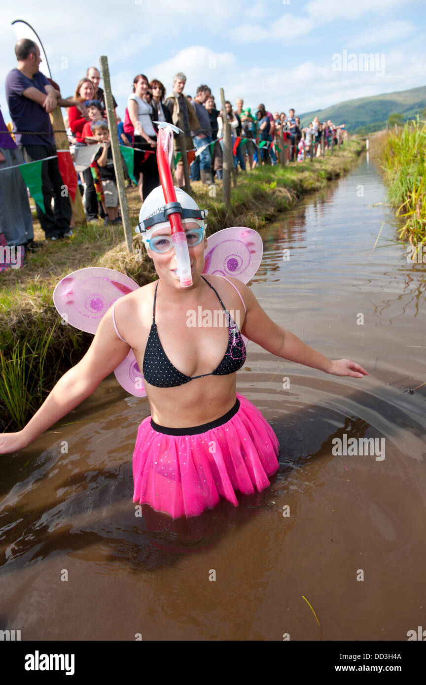 Hotel a Llanwrtyd Wells, Regno Unito. Il 25 agosto 2013. Lisa Cherry da N. Londra viene fornito per il Bog con il suo gruppo la palude del Sud fate. Il mondo annuale campionato Bogsnorkelling si svolge ogni Ferragosto al famoso Waen Rhydd Bog.In il Welsh pedemontana del Cambriano montagne vicino alla città più piccola in Gran Bretagna, rinomato per le sue bizzarre sport. L idea è stata concepita nel 1985 dal locatore Gordon Green del Neuadd Arms pub per mettere Llanwrtyd Wells sulla mappa. Il campione del mondo è Andrew Holmes con un tempo di 84sec nel 2011. Foto: Graham M. Lawrence/Alamy Live News. Foto Stock
