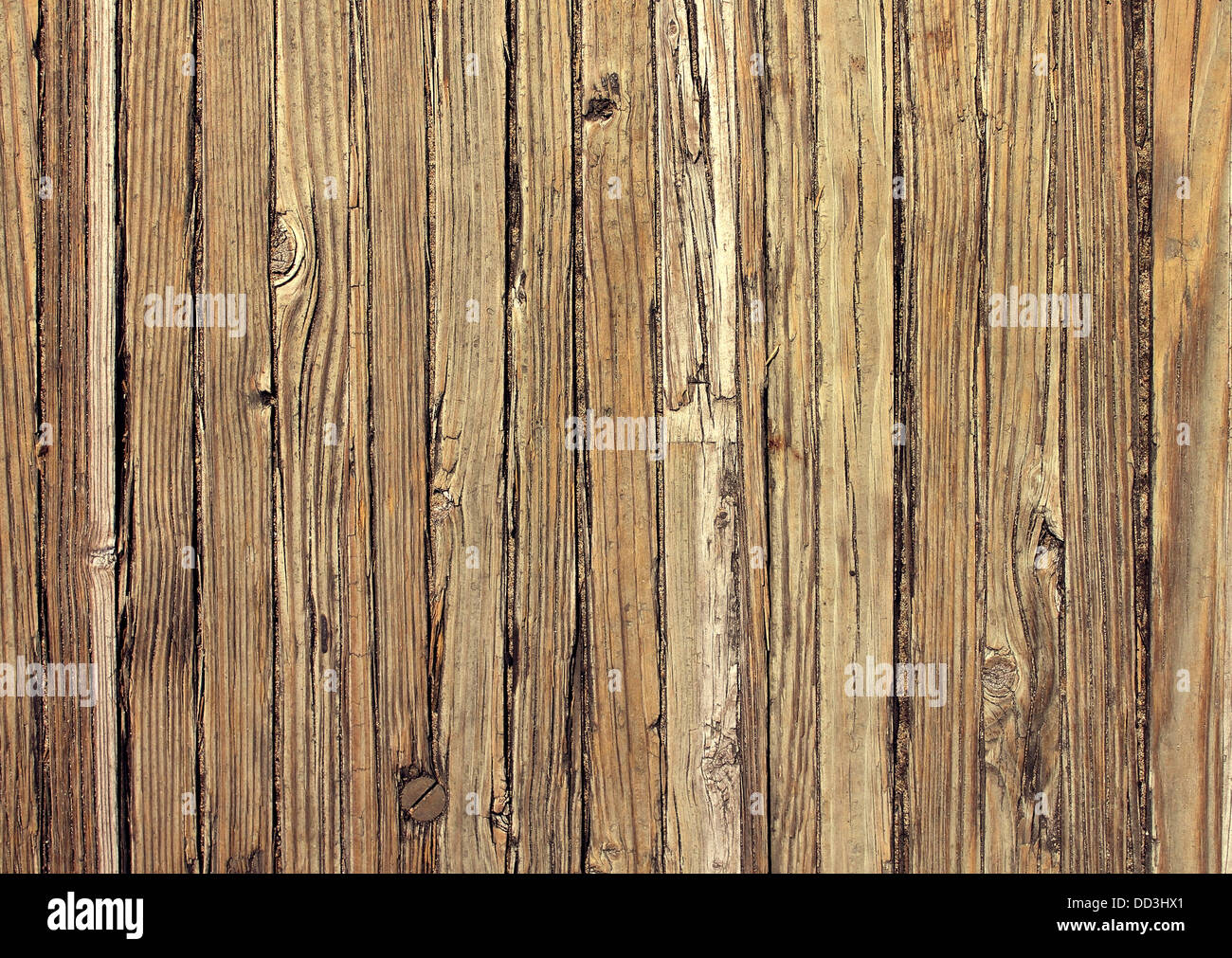 Vecchio weathered sfondo di legno naturale e addolorato antiche tavole in una configurazione verticale di età compresa dal sole e acqua come una naturale Foto Stock