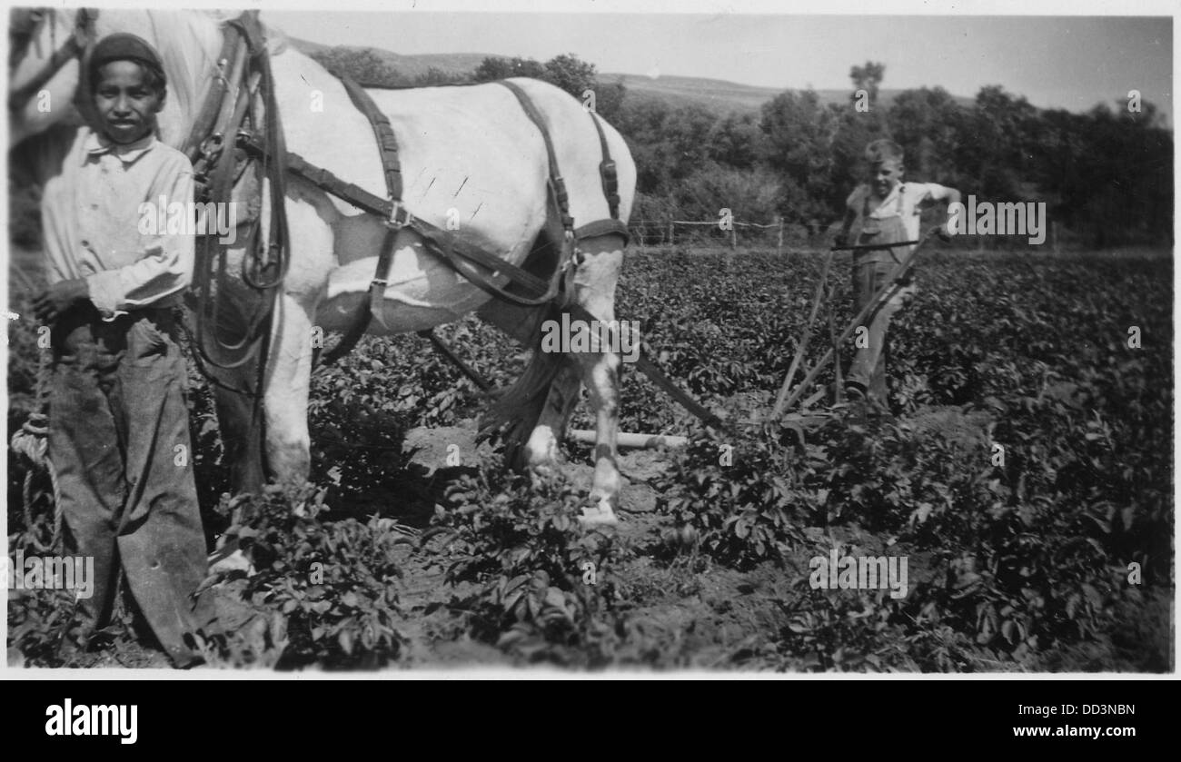 Due ragazzi di coltivare un campo con cavallo aratro a mano - - 285661 Foto Stock