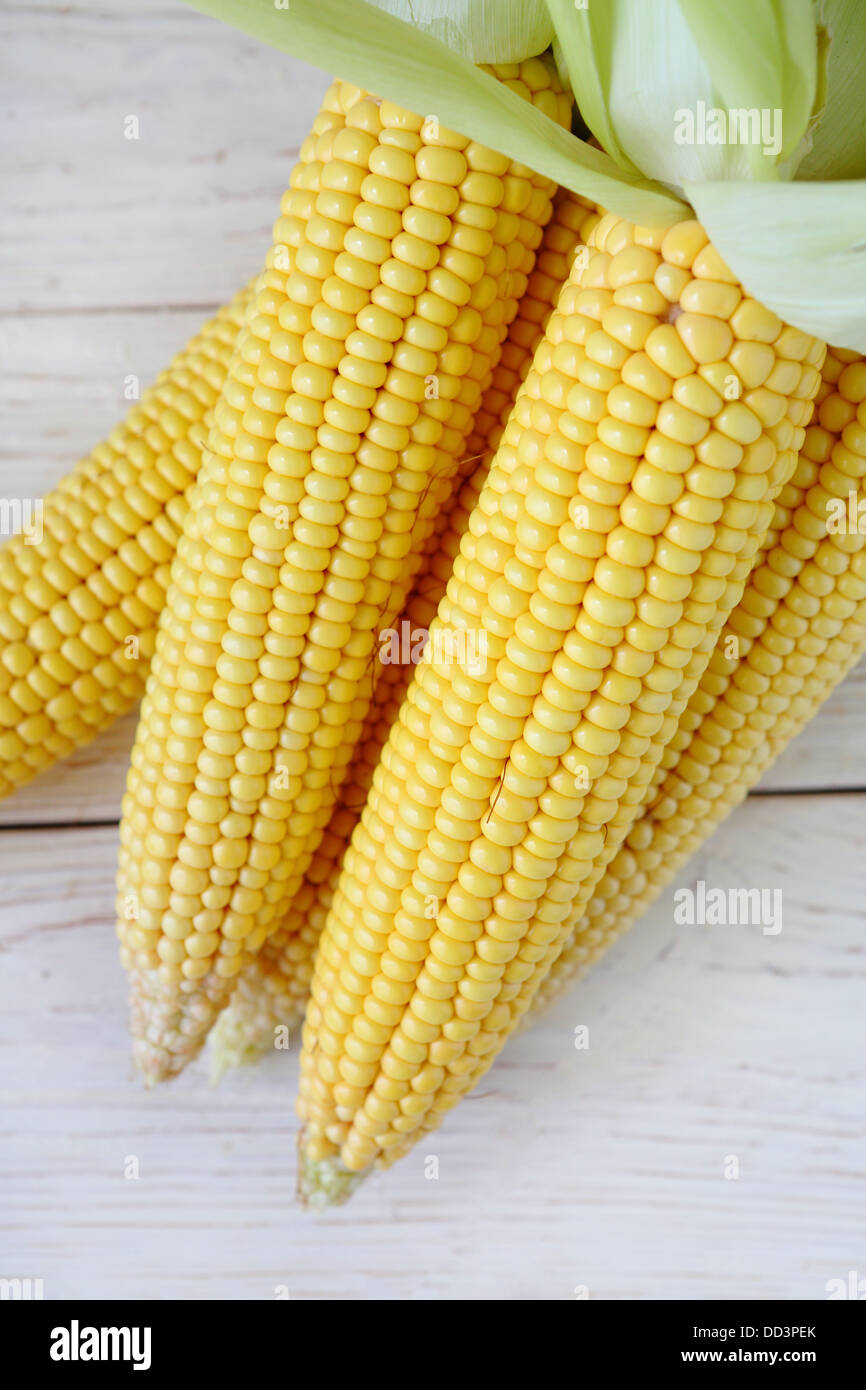 I giovani di colore giallo sulla pannocchia di mais, vista dall'alto Foto Stock