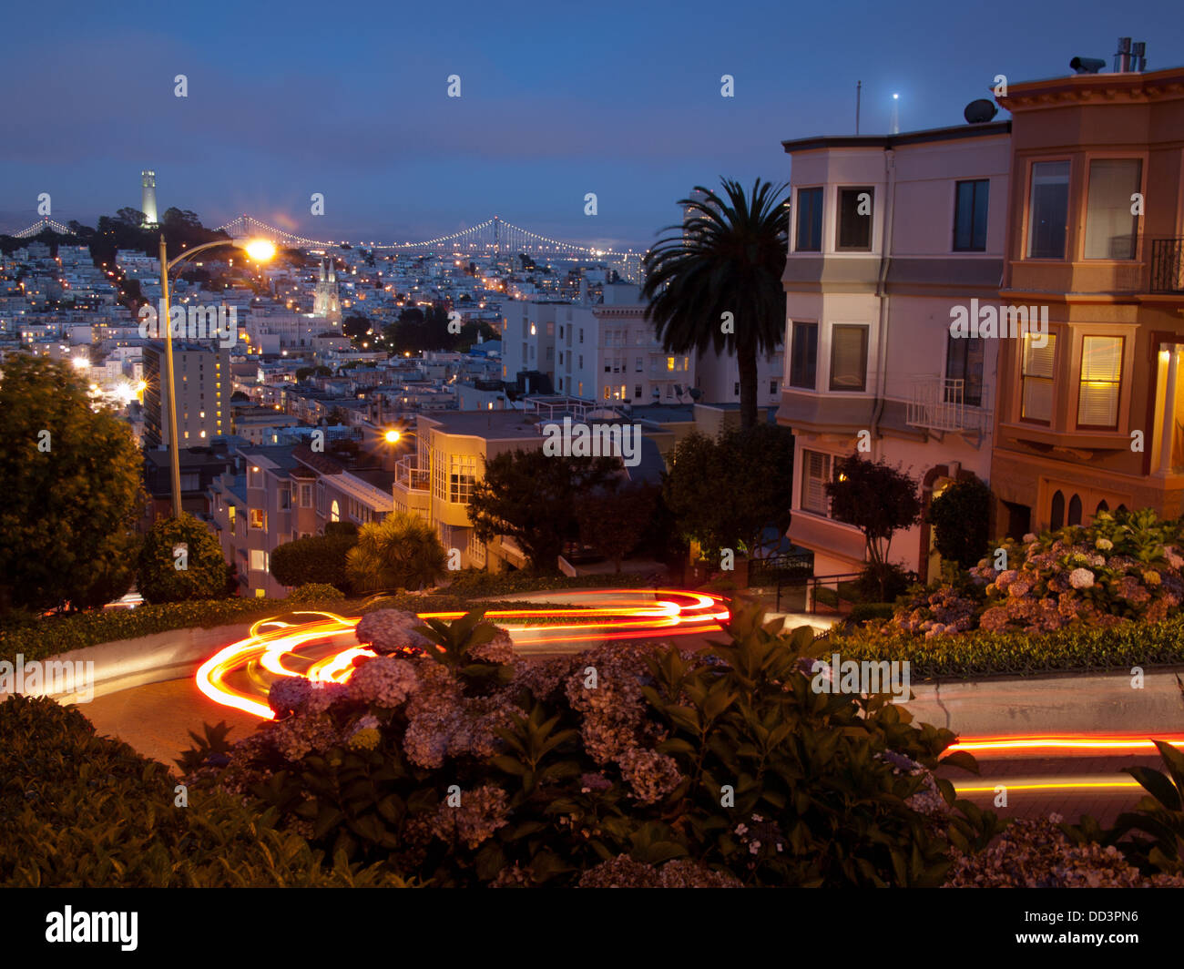 Lombard Street - il 'Crookedest Street nel mondo" - di notte, con sentieri di luce dal passaggio delle vetture, in San Francisco. Foto Stock