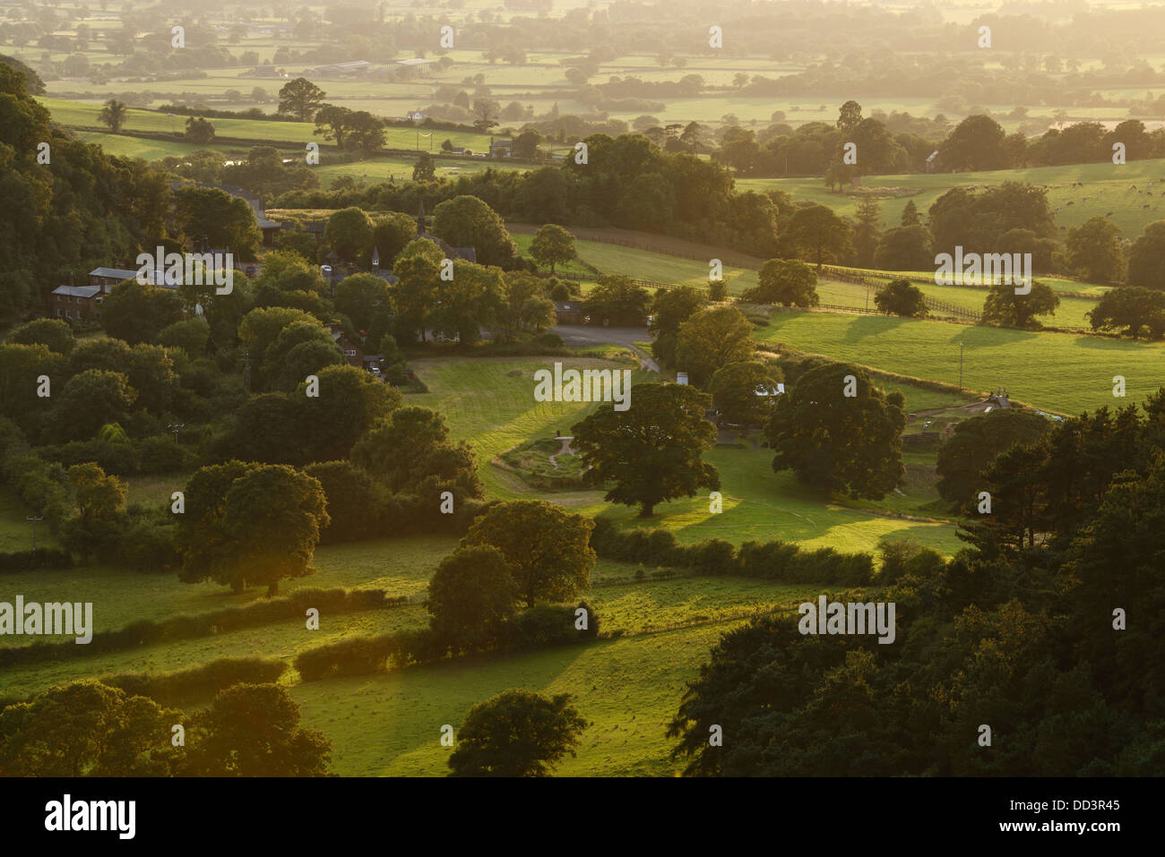 Luce della Sera attraverso campi di Cheshire Regno Unito Foto Stock