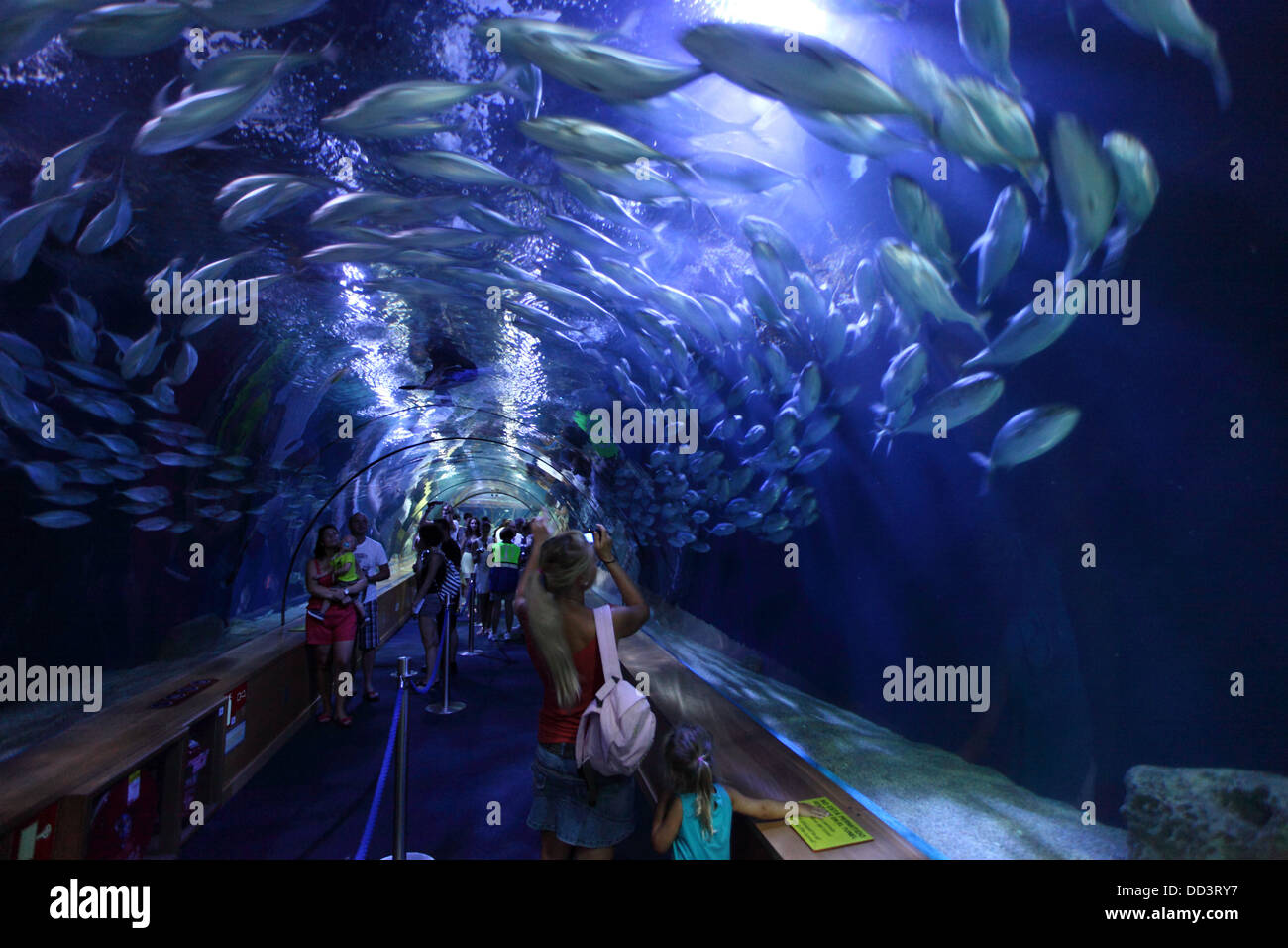 Un tunnel di vetro in L'Oceanografic aquarium in Valencia, Spagna Foto Stock