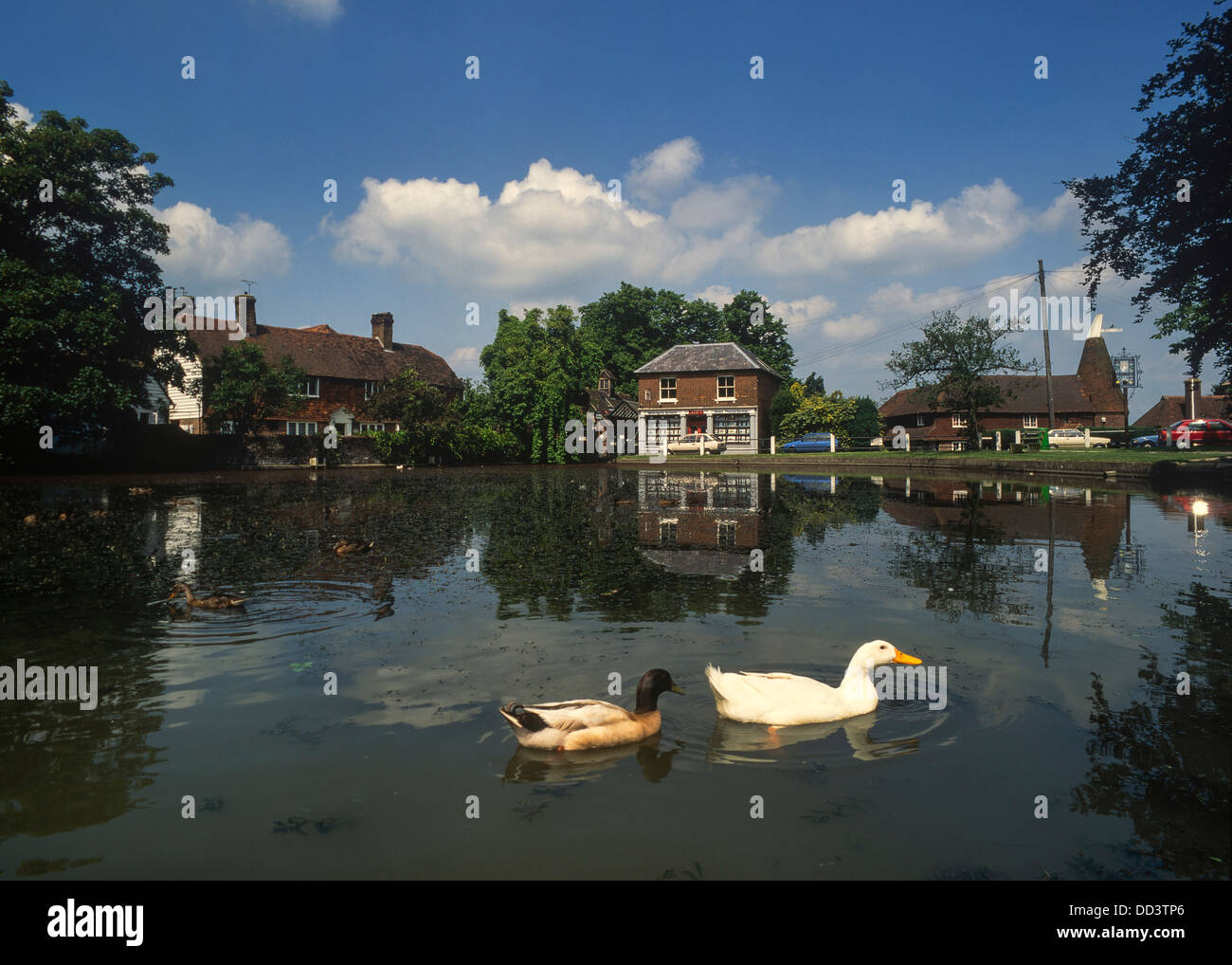 Duck Pond. Goudhurst village. Weald del Kent, Inghilterra. Regno Unito Foto Stock