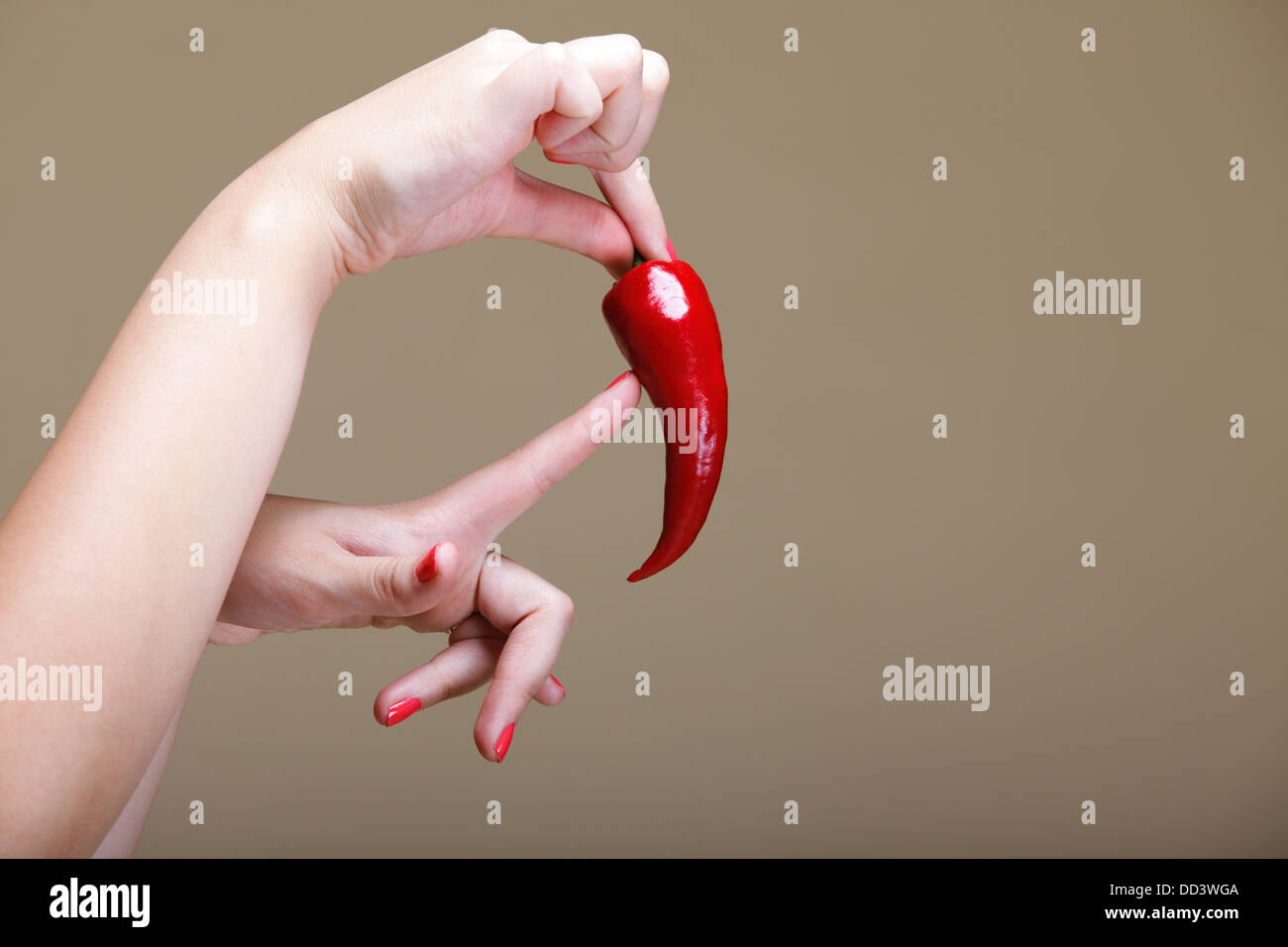 Peperoncino in mano femmina sfondo marrone Foto Stock