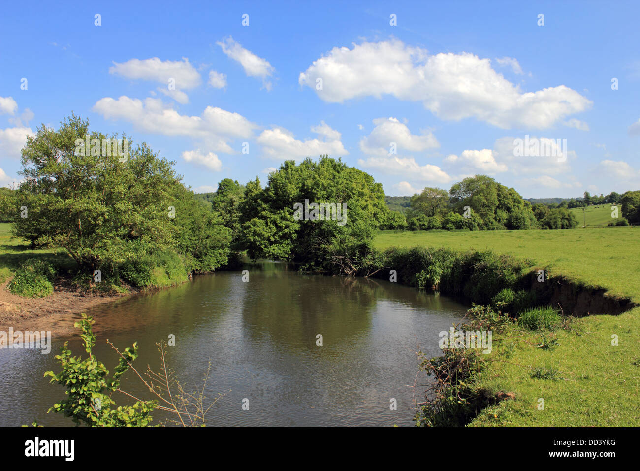 Il Fiume Mole a Mickleham tra Dorking e Leatherhead Surrey, Inghilterra REGNO UNITO Foto Stock