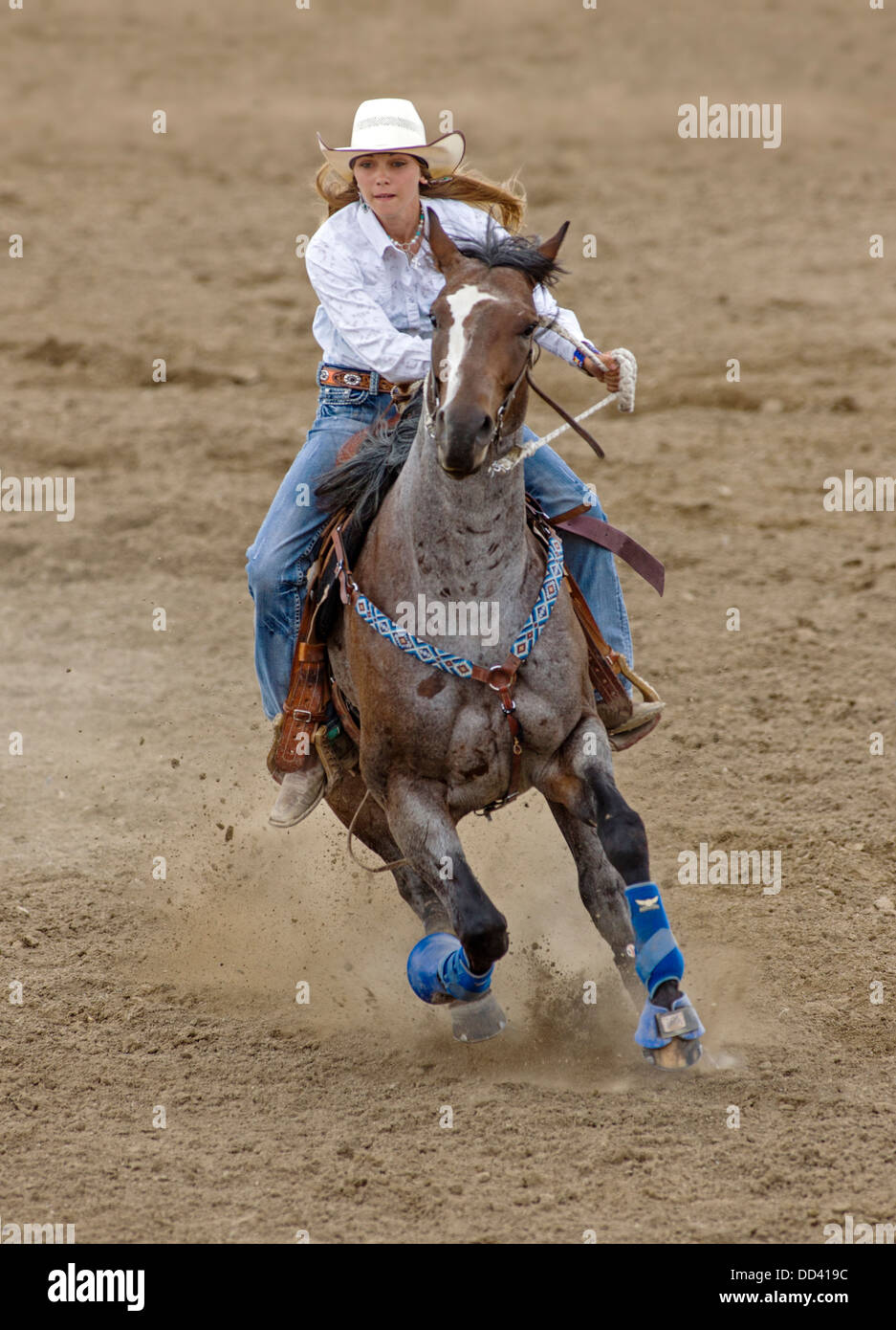 Cowgirl sulle passeggiate a cavallo nel Signore Barrel racing event, Chaffee County Fair & Rodeo Foto Stock