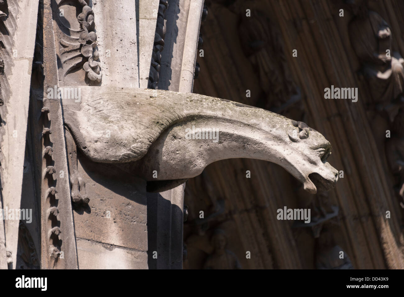Gargoyle gotica su Parigi' la cattedrale di Notre Dame Foto Stock