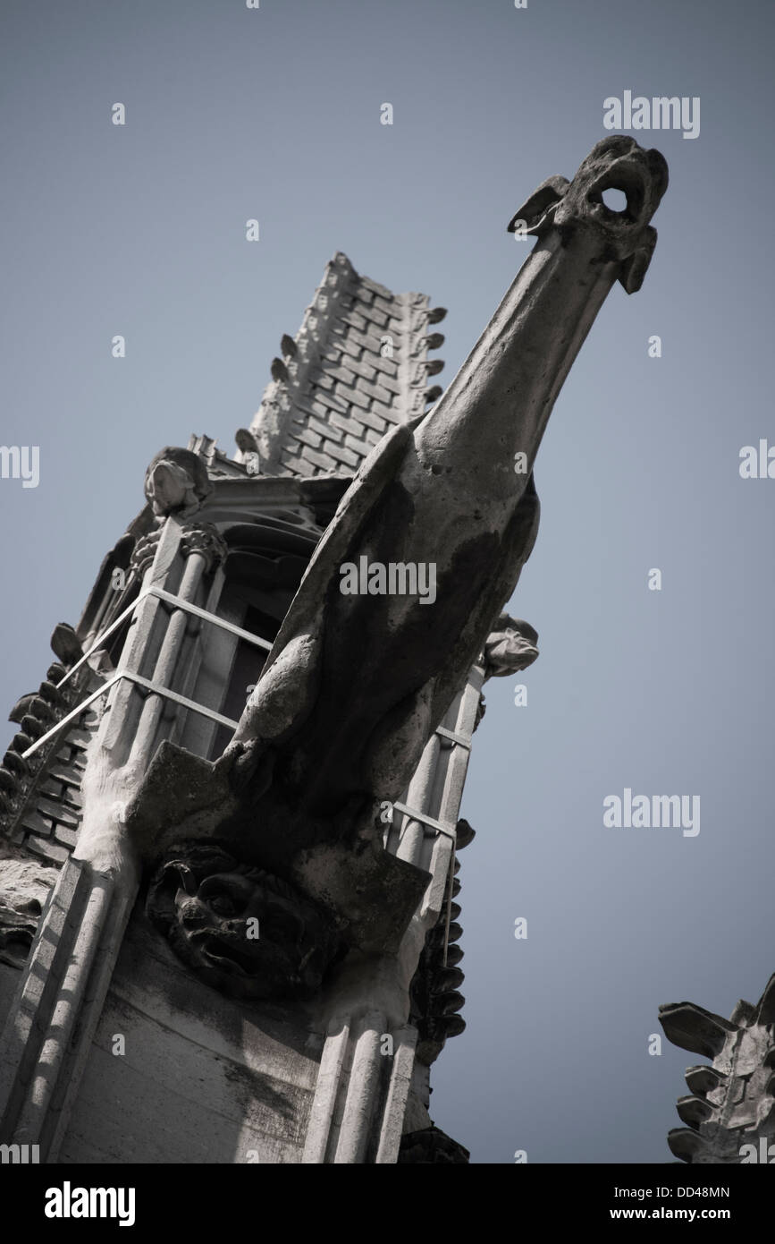 Gargoyle gotica su Parigi' la cattedrale di Notre Dame Foto Stock