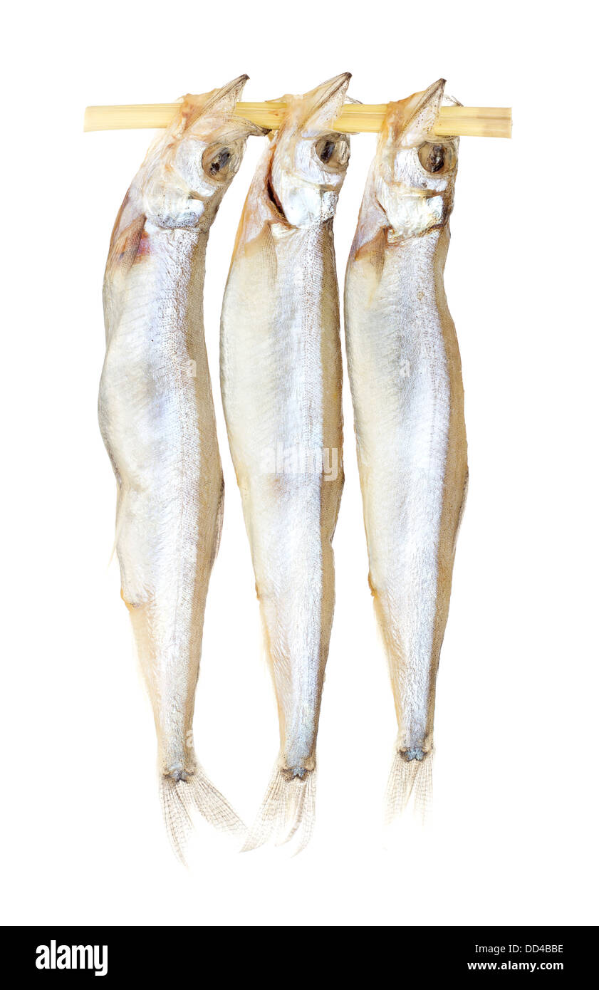 Shishamo o Willow leaf Fish Foto Stock