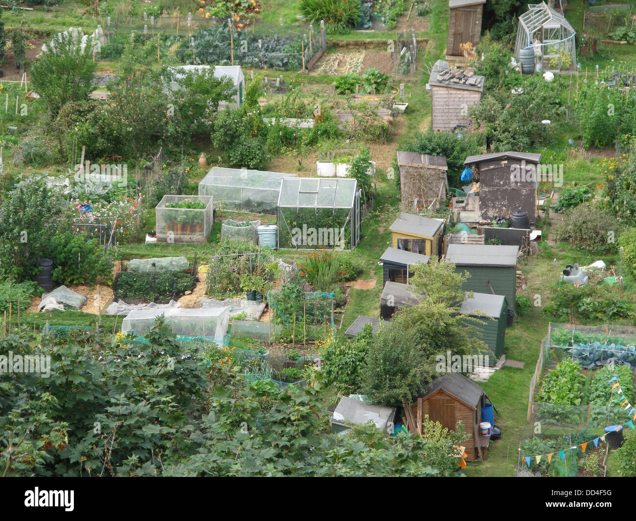 Morningside assegnazioni, Edimburgo, Scozia, Regno Unito Foto Stock