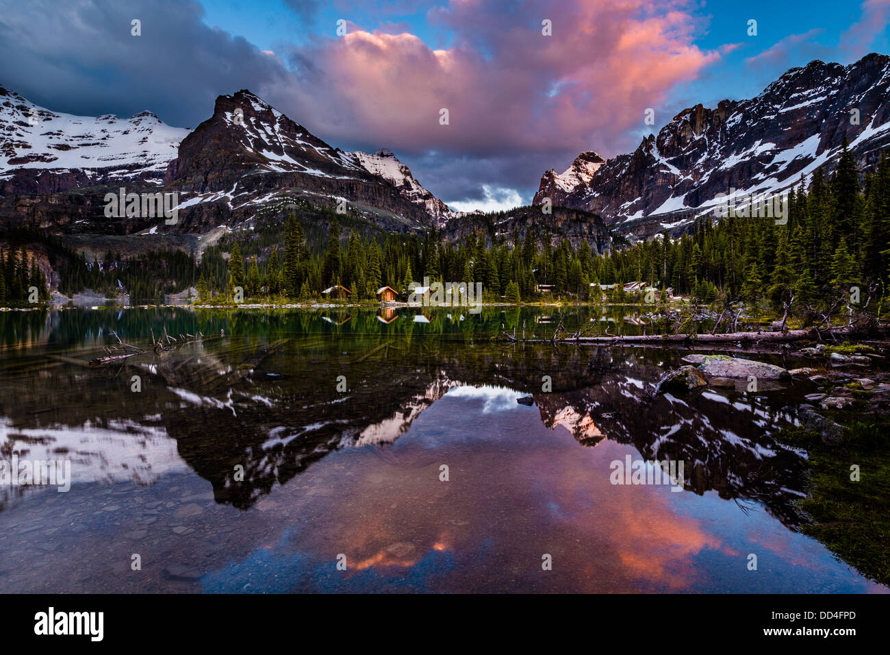 Il lago di O'Hara riflessione, Parco Nazionale di Yoho, Canada Foto Stock