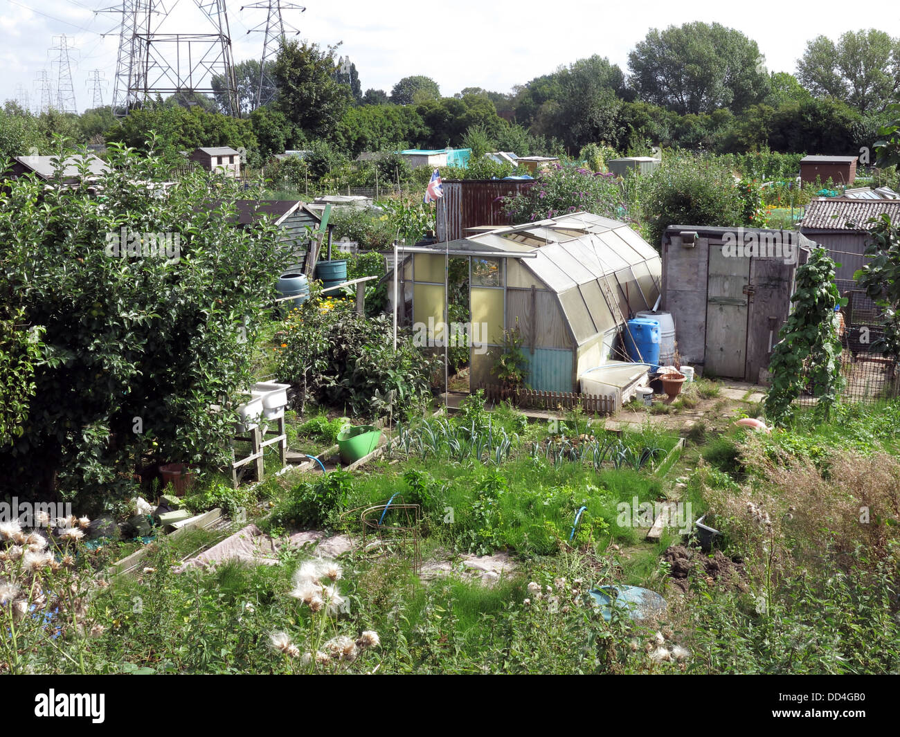 Assegnazioni Westy, Kingsway Sud, Latchford / Westy, Warrington, Cheshire, Nord Ovest Inghilterra Foto Stock